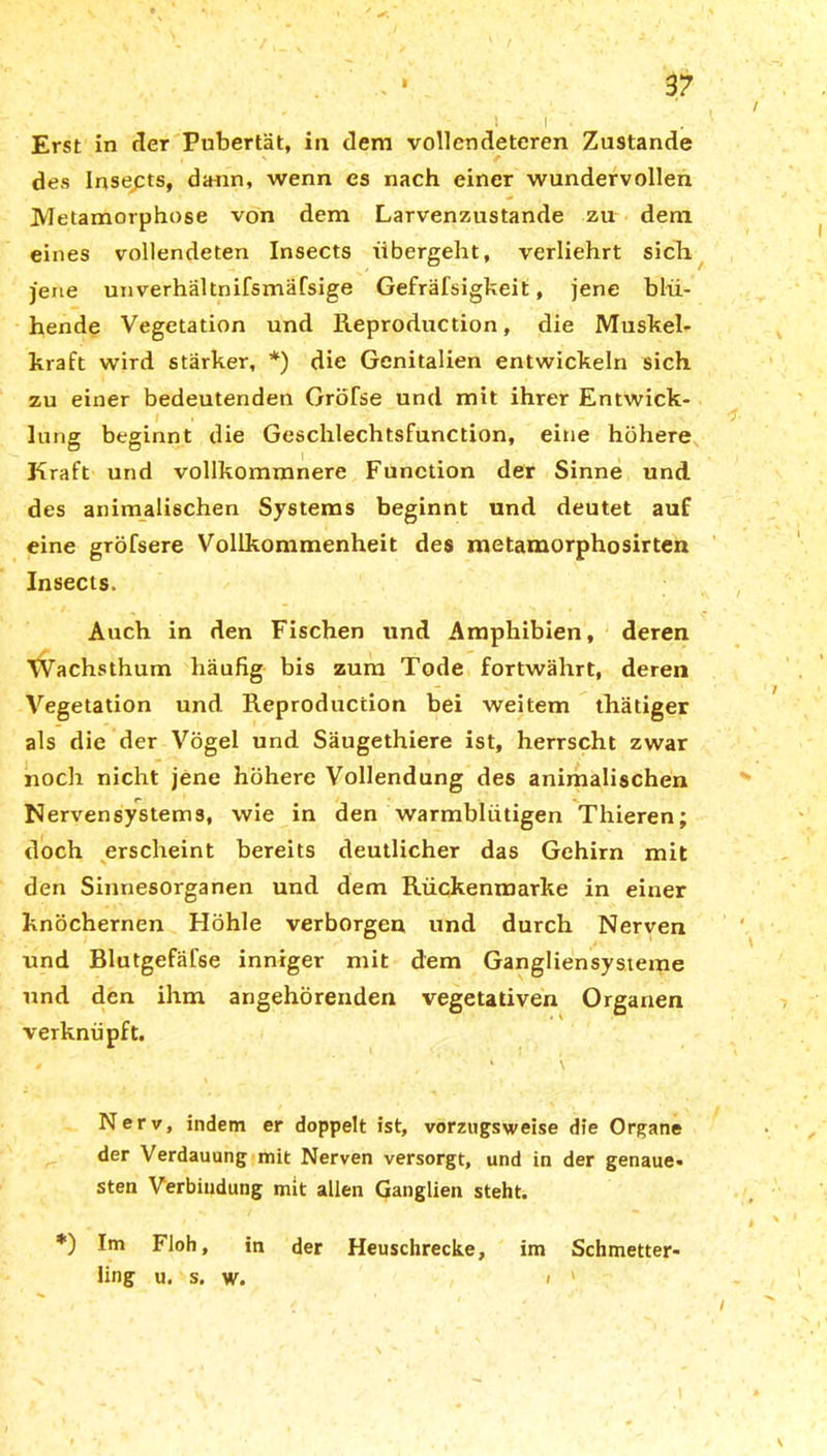 Erst in der Pubertät, in dem vollendeteren Zustande des Insepts, dann, wenn es nach einer wundervollen Metamorphose von dem Larvenzustande zu dem eines vollendeten Insects übergeht, verliehrt sich jene unverhältnifsmäfsige Gefräfsigkeit, jene blü- hende Vegetation und Reproduction, die Muskel- kraft wird stärker, *) die Genitalien entwickeln sich zu einer bedeutenden Grösse und mit ihrer Entwick- lung beginnt die Geschlechtsfunction, eine höhere Kraft und vollkommnere Function der Sinne und des animalischen Systems beginnt und deutet auf eine gröfsere Vollkommenheit des metamorphosirten Insects. Auch in den Fischen und Amphibien, deren Wachsthum häufig bis zum Tode fortwährt, deren Vegetation und Reproduction bei weitem thätiger als die der Vögel und Säugethiere ist, herrscht zwar noch nicht jene höhere Vollendung des animalischen Nervensystems, wie in den warmblütigen Thieren; doch erscheint bereits deutlicher das Gehirn mit den Sinnesorganen und dem Rückenmarke in einer knöchernen Höhle verborgen und durch Nerven und Blutgefäfse inniger mit dem Gangliensysteme und den ihm angehörenden vegetativen Organen verknüpft. * * \ Nerv, indem er doppelt ist, vorzugsweise die Organe der Verdauung mit Nerven versorgt, und in der genaue« sten Verbindung mit allen Ganglien steht. *) Im Floh, in der Heuschrecke, im Schmetter* ling u. s. w. / '