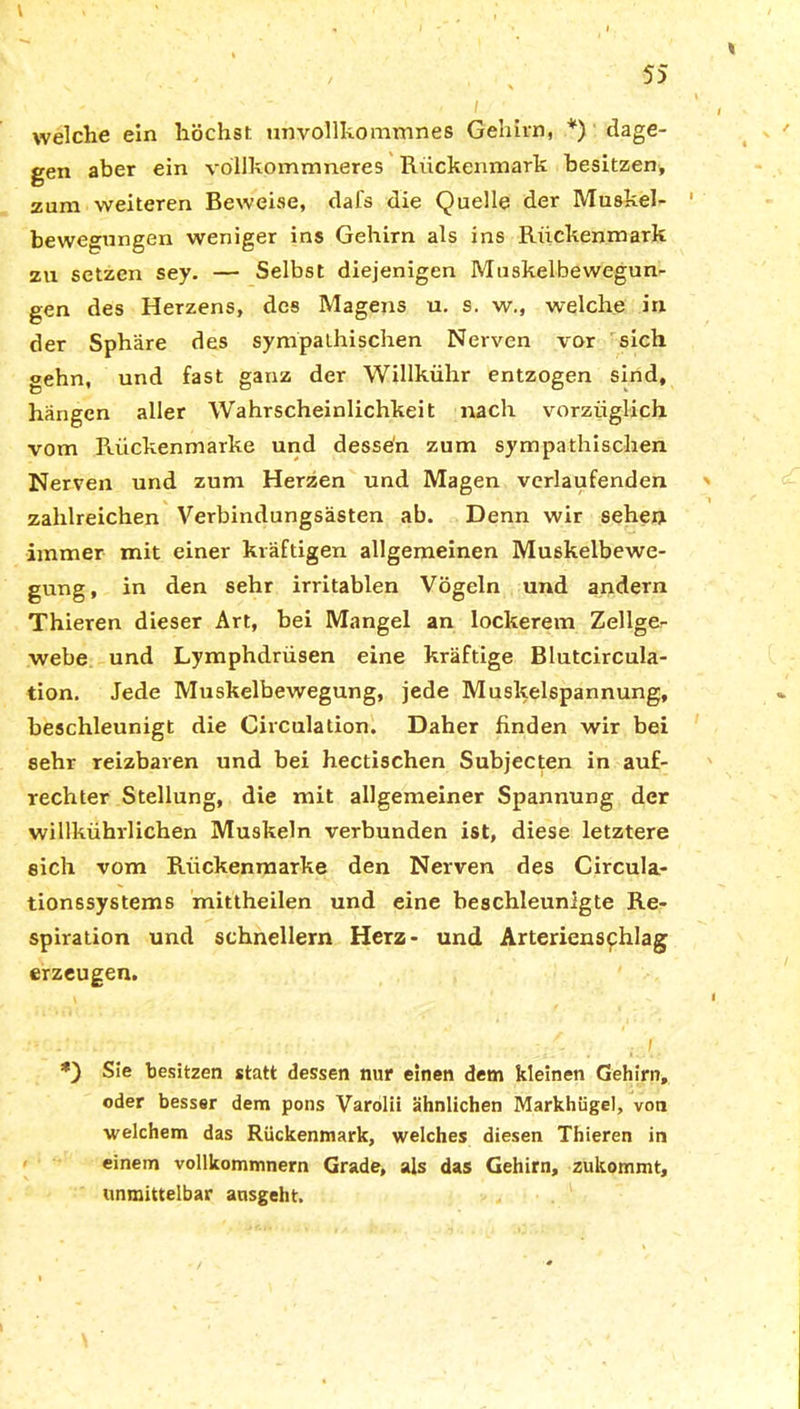 welche ein höchst unvollkommnes Gehirn, *) dage- gen aber ein völlkommneres Rückenmark besitzen, zum weiteren Beweise, dafs die Quelle der Muskel- bewegungen weniger ins Gehirn als ins Rückenmark zu setzen sey. — Selbst diejenigen Muskelbewegun- gen des Herzens, des Magens u. s. w., welche in der Sphäre des sympathischen Nerven vor sich gehn, und fast ganz der Willkühr entzogen sind, hängen aller Wahrscheinlichkeit nach vorzüglich vom Rückenmarke und dessen zum sympathischen Nerven und zum Herzen und Magen verlaufenden zahlreichen Verbindungsästen ab. Denn wir sehen immer mit einer kräftigen allgemeinen Muskelbewe- gung, in den sehr irritablen Vögeln und andern Thieren dieser Art, bei Mangel an lockerem Zellger webe und Lymphdrüsen eine kräftige Blutcircula- tion. Jede Muskelbewegung, jede Muskelspannung, beschleunigt die Circulation. Daher finden wir bei sehr reizbaren und bei hectischen Subjecten in auf- rechter Stellung, die mit allgemeiner Spannung der willkührlichen Muskeln verbunden ist, diese letztere eich vom Rückenmarke den Nerven des Circula- tionssystems mittheilen und eine beschleunigte Re- spiration und schnellem Herz- und Arterienschlag erzeugen. •* . . . •; ■ /. . . t. *) Sie besitzen statt dessen nur einen dem kleinen Gehirn, oder besser dem pons Varolii ähnlichen Markhügel, von welchem das Rückenmark, welches diesen Thieren in einem vollkommnern Grade, als das Gehirn, zukommt, unmittelbar ausgeht.