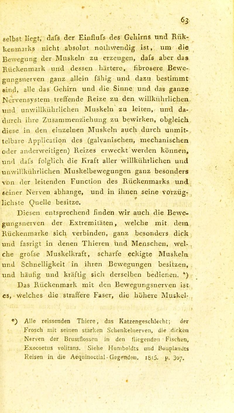 selbst liegt, dafs der Einflufs des Gehirns und Riik- kenmarks nicht absolut notlivvendig ist, um die Bewegung der Muskeln zu erzeugen, dafs aber das Riickenmark und dessen härtere, fibrösere Bewe- gungsnerven ganz allein fähig und dazu bestimmt bind, alle das Gehirn und die Sinne und das ganze Nervensystem treffende Reize zu den willkührlichen und unwillkührlichen Muskeln zu leiten, und da- durch ihre Zusammenziehung zu bewirken, obgleich diese in den einzelnen Muskeln auch durch unmit- telbare Application des (galvanischen, mechanischen oder anderweitigen) Reizes erweckt werden können, und dafs folglich die Kraft aller willkührlichen und unwillkührlichen Muskelbewegungen ganz besonders von der leitenden Function des Rückenmarks und seiner Nerven abhange, und in ihnen seine vorzüg- lichste Quelle besitze. Diesen entsprechend finden wir auch die Bewe- gungsnerven der Extremitäten, welche mit dem Rückenmarke sich verbinden, ganz besonders dick und fasrigt in denen Thieren und Menschen, wel- che grofse Muskelkraft, scharfe eckigte Muskeln und Schnelligkeit in ihren Bewegungen besitzen, und häutig uud kräftig sielt derselben bedienen. *) Das Rückenmark mit den Bewegungsnerven ist es, ■ welches die straffere Faser, die höhere Muskel- • f *) Alle reissenden Thiere, das Katzeng-esclüecht; der Frosch mit seinen starken Schenkelnerven, die dicken Nerven der Brustflossen in den fliegenden ' Fischen, Exocoetus volitanS. Siehe Humboldts und ßouplandts Reisen in die Aeqninoctial - Gegenden. iöi5. p. 307.