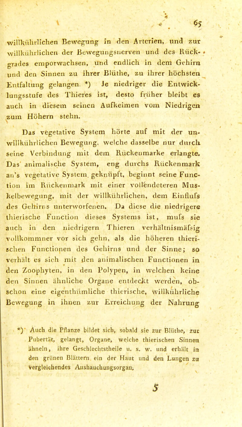 • *v willkührlichen Bewegung in den Arterien, und zur willkührlichen der Bewegungsnerven und des Rück- * grades emporwachsen, und endlich in dem Gehirn und den Sinnen zu ihrer Blütlie, zu ihrer höchsten Entfaltung gelangen. *) Je niedriger die Entwick- lungsstufe des Thieres ist, desto früher bleibt es auch in diesem seinen Aufkeimen vom Niedrigen zum Hohem stehn. Das vegetative System hörte auf mit der un- willkürlichen Bewegung, welche dasselbe nur durch, seine Verbindung mit dem Rückenmarke erlangte. Das' animalische System, eng durchs Rückenmark an’s vegetative System, geknüpft, beginnt seine Func- tion im Rückenmark mit einer vollendeteren Mus- kelbewegung, mit der willkührlichen, dem Einflufs des Gehirns unterworfenen. Da diese die niedrigere thierische Function dieses Systems ist, mufs sie auch in den niedrigem Thieren verhältnismäfsig vollkommner vor sich gehn, als die höheren thieri- schen Functionen des Gehirns und der Sinne; so verhält es sieh mit den animalischen Functionen in den Zoophyten, in den Polypen, in welchen keine den Sinnen ähnliche Organe entdeckt werden, ob- schon eine eigenthümliche thierische, willkiihrliche Bewegung in ihnen zur Erreichung der Nahrung *)' Auch die Pflanze bildet sich, sobald sie zur Bliithe, zur Pubertät, gelangt, Organe, welche thierischen Sinnen ähneln, ihre Geschlechtstheile u. s. w. und erhält in den grünen Blättern ein der Haut und den Lungen zu Vergleichendes Aushauchungsorgan; 5