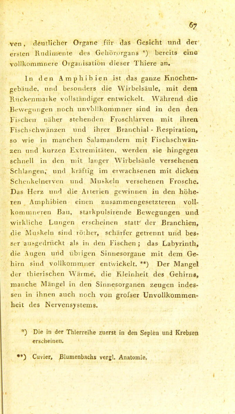 *7 i ven, deutlicher Organe fiir das Gesicht und der ersten Rudimente des Gehörorgans *) bereits eine vollkommnere Organisation dieser Thiere an. In den Amphibien ist das ganze Knochen- gebäude. und besonders die Wirbelsäule, xnit dem Ruckenmarke vollständiger entwickelt. Während die Bewegungen noch unvbllkornmner sind in den den Fischen näher stehenden Froschlarven mit ihren Fischschwänzen und ihrer Branchial - Respiration, so wie in manchen Salamandern mit Fischschwän- zen und kurzen Extremitäten, werden sie hingegen schnell in den mit langer Wirbelsäule versehenen Schlangen, und kräftig im erwachsenen mit dicken Scheukelnerven und Muskeln versehenen Frosche. Das Herz und die Aiterien gewinnen in den höhe- ren Amphibien einen zusammengesetzteren voll- kommneren Bau, starkpulsirende Bewegungen und wirkliche Lungen erscheinen stattr' der Branchien, die Muskeln sind röther, schärfer getrennt und bes- ser ausgedrückt als in den Fischen ; das Labyrinth, die Augen urid übiigen Sinnesorgane mit dein Ge- hirn sind vollkommener entwickelt. **) Der Mangel der thierischen Wärme, die Kleinheit des Gehirns, manche Mängel in den Sinnesorganen zeugen indes- sen in ihnen auch noch von grofser Unvollkommen- heit des Nervensystems. *) Die in der Thierreihe zuerst in den Sepien und Krebsen erscheinen. •*) Cuvier, ßlumenbachs vergl. Anatomie,