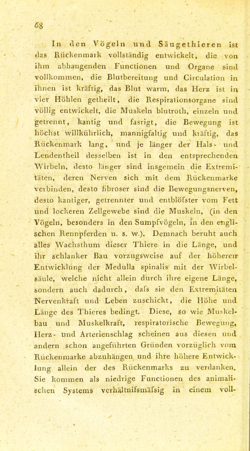 das Rückenmark vollständig entwickelt, die von ihm abhangenden Functionen und Organe sind vollkommen, die Blutbereitung und Circulation in ihnen ist kräftig, das Blut warm, das Herz ist in vier Höhlen getheilt, die Respirationsorgane sind völlig entwickelt, die Muskeln blutroth, einzeln und getrennt, kantig und fasrigt, die Bewegung ist höchst Willkülirlich, mannigfaltig und kräftig, das Rückenmark lang, und je länger der Hals- und Lenden theil desselben ist in den entsprechenden Wirbeln, desto länger sind insgemein die Extremi- täten, deren Nerven sich mit dem Rückenmarke verbinden, desto fibröser sind die Bewegungsnerven, desto kantiger, getrennter und entblöfster vom Fett und lockeren Zellgewebe sind die Muskeln, (in den Vögeln, besonders in den Sumpfvögeln, in den engli- schen Rennpferden u. s. w.). Demnach beruht auch alles Wachsthum dieser Thiere in die Länge, und ihr schlanker Bau vorzugsweise auf der höherem Entwicklung der Medulla spinalis mit der Wirbel- säule, welche nicht allein durch ihre eigene Länge, sondern auch dadurch, dafs sie den Extremitäten Nervenkfaft und Leben zuschickt, die Höhe und Länge des Thieres bedingt. Diese, so wie Muskel- bau und Muskelkraft, respiratorische Bewegung, Ilerz- und Arterienschlag scheinen aus diesen und andern schon angeführten Gründen vorzüglich vom Rückenmarke abzuhängen und ihre höhere Entwick- lung allein der des Rückenmarks zu verdanken. Sie kommen als niedrige Functionen des animali- schen Systems vcrhältnifsmäfsig in einem voll-