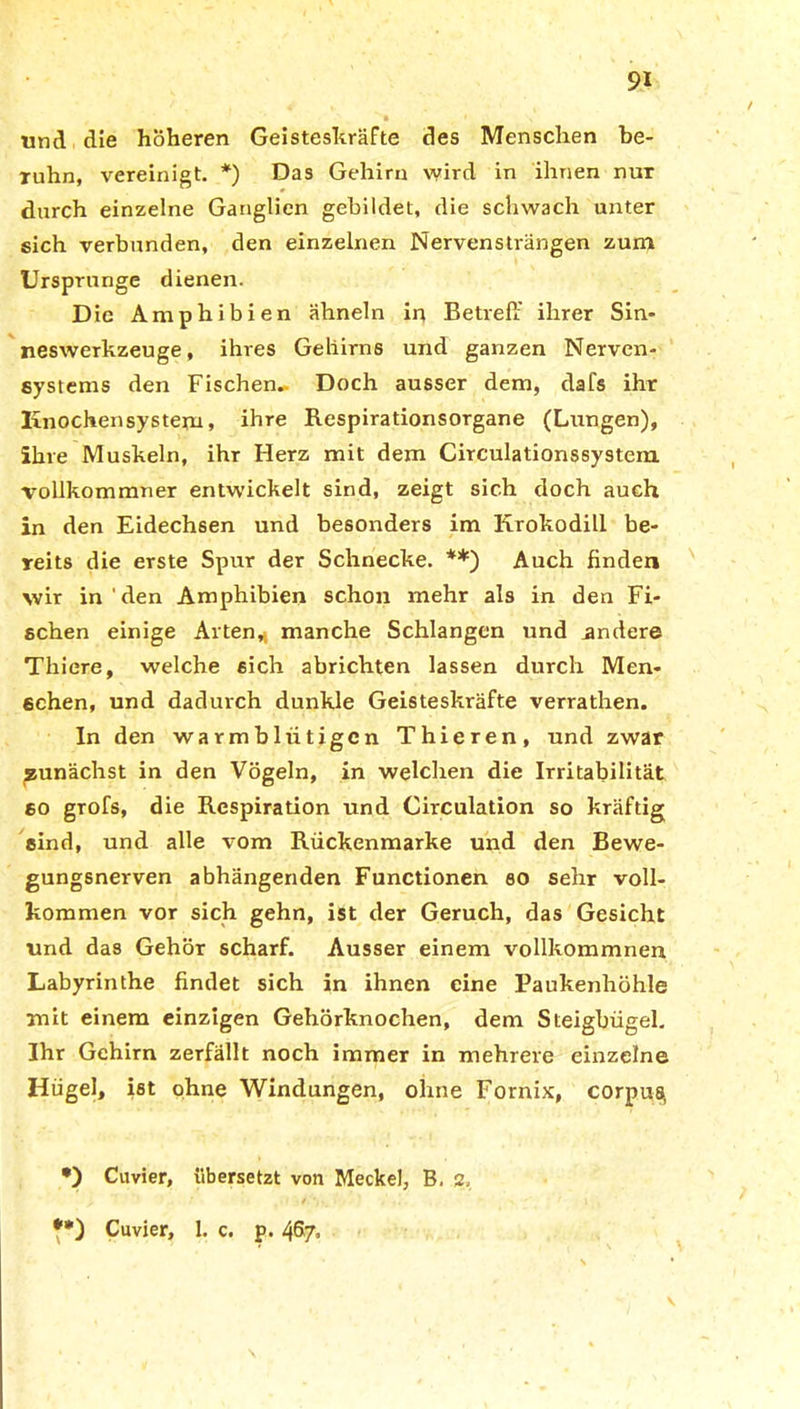 und die höheren Geisteskräfte des Menschen be- xuhn, vereinigt. *) Das Gehirn wird in ihnen nur durch einzelne Ganglien gebildet, die schwach unter sich verbunden, den einzelnen Nervensträngen zum Ursprünge dienen. Die Amphibien ähneln in Betreff ihrer Sin- neswerkzeuge, ihres Gehirns und ganzen Nerven- systems den Fischen. Doch ausser dem, dafs ihr Knochensystem, ihre Respirationsorgane (Lungen), ihre Muskeln, ihr Herz mit dem Circulationssystem vollkommner entwickelt sind, zeigt sich doch auch in den Eidechsen und besonders im Krokodill be- reits die erste Spur der Schnecke. **) Auch finden wir in ' den Amphibien schon mehr als in den Fi- schen einige Arten, manche Schlangen und andere Thiere, welche sich abrichten lassen durch Men- schen, und dadurch dunkle Geisteskräfte verrathen. In den warmblütigen Thieren, und zwar zunächst in den Vögeln, in welchen die Irritabilität so grofs, die Respiration und Circulation so kräftig sind, und alle vom Rückenmarke und den Bewe- gungsnerven abhängenden Functionen so sehr voll- kommen vor sich gehn, ist der Geruch, das Gesicht und das Gehör scharf. Ausser einem vollkommnem Labyrinthe findet sich in ihnen eine Paukenhöhle mit einem einzigen Gehörknochen, dem Steigbügel. Ihr Gehirn zerfällt noch immer in mehrere einzelne Hügel, ist ohne Windungen, ohne Fornix, corpug •) Cuvier, übersetzt von Meckel, B. 2, Cuvier, 1. c. p. 467.