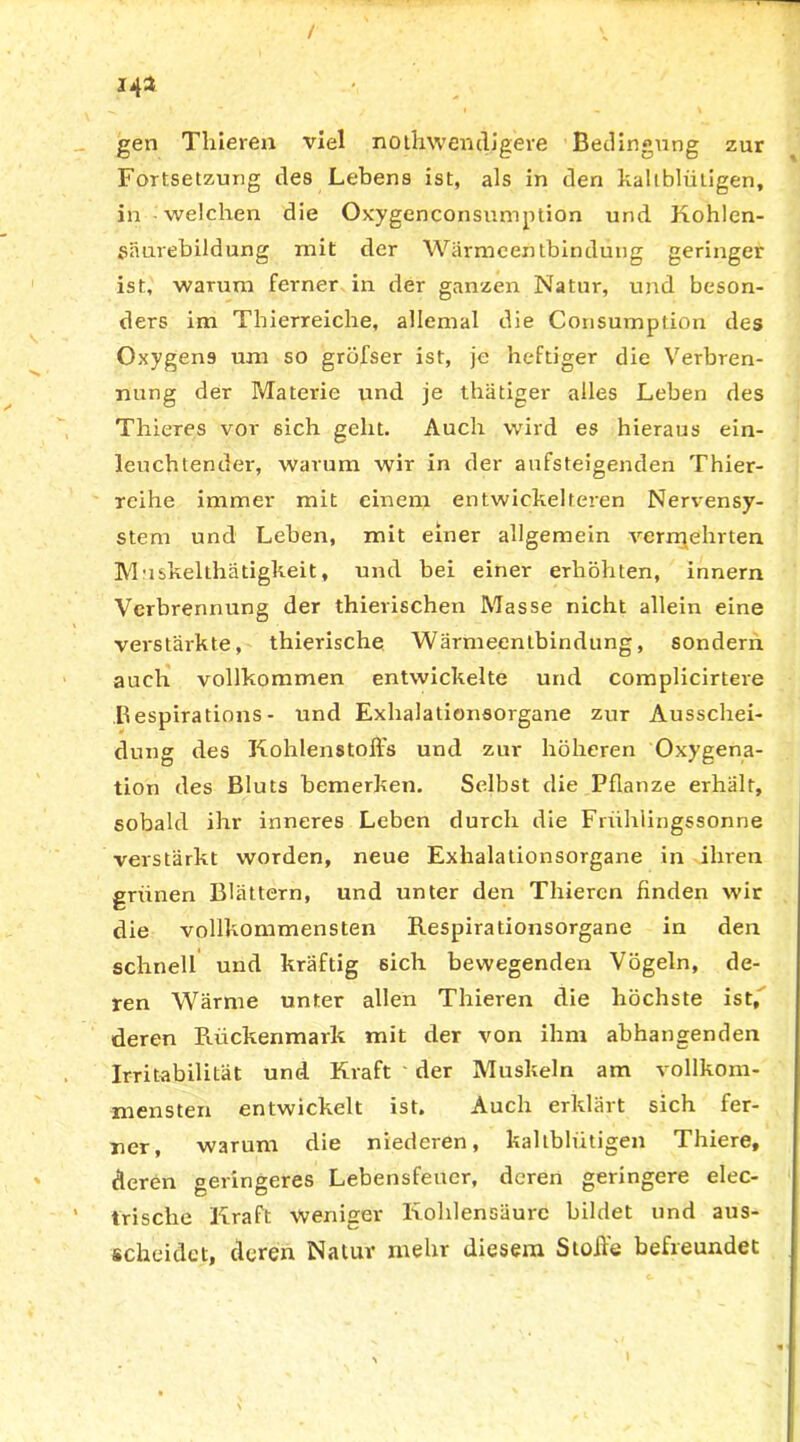 / 143 gen Thieren viel nothwendigere Bedingung zur Fortsetzung des Lebens ist, als in den kaltblütigen, in welchen die Oxygenconsumption und Kohlen- säurebildung mit der Wärmeentbindung geringer ist, warum ferner in der ganzen Natur, und beson- ders im Thierreiche, allemal die Consumption des Oxygens um so gröfser ist, je heftiger die Verbren- nung der Materie und je thätiger alles Leben des ThieTes vor sich geht. Auch wird es hieraus ein- leuchtender, warum wir in der aufsteigenden Thier- reihe immer mit einem entwickelteren Nervensy- stem und Leben, mit einer allgemein vermehrten Muskelthätigkeit, und bei einer erhöhten, innern Verbrennung der thierischen Masse nicht allein eine verstärkte, thierische Wärmeentbindung, sondern auch vollkommen entwickelte und complicirtere ßespirations - und Exhalationsorgane zur Ausschei- dung des Kohlenstoffs und zur höheren Oxygena- tion des Bluts bemerken. Selbst die Pflanze erhält, sobald ihr inneres Leben durch die Frühlingssonne verstärkt worden, neue Exhalationsorgane in ihren grünen Blättern, und unter den Thieren finden wir die vollkommensten Respirationsorgane in den schnell und kräftig sich bewegenden Vögeln, de- ren Wärme unter allen Thieren die höchste ist, deren Rückenmark mit der von ihm abhangenden Irritabilität und. Kraft der Muskeln am vollkom- mensten entwickelt ist. Auch erklärt sich fer- ner, warum die niederen, kaltblütigen Thiere, deren geringeres Lebensfeucr, deren geringere elec- trische Kraft weniger Kohlensäure bildet und aus- scheidet, deren Natur mehr diesem Stoße befreundet