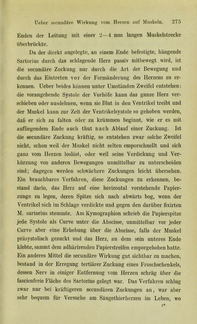 Enden der Leitung mit einer 2 — 4 mm langen Muskelstrecke < iiberbriickte. Da der direkt angelegte, an einem Ende befestigte, hangende Sartorius durch das sclilagende Herz passiv mitbewegt wird, ist die secundare Zuckung nur durch die Art der Bewegung und durch das Eintreten vor der Formanderung des Herzens zu er- kennen. Ueber beides konnen unter Umstanden Zweifel entstehen: die vorangehende Systole der Vorhofe kann das ganze Herz ver- schieben oder ausdehnen, wenn sie Blut in den Ventrikei treibt und der Muskel kann zur Zeit der Ventrikelsystole so gehoben werden, dafi er sich zu falten oder zu krummen beginnt, wie er es mit aufliegendem Ende auch thut nach Ablauf einer Zuckung. Ist die secundare Zuckung kraftig, so entstehen zwar solche Zweifel nicht, sclion weil der Muskel nicht selten emporschnellt und sich ganz vom Herzen loslost, oder weil seine Verdickung und Ver- kurzung von anderen Bewegungen unmittelbar zu unterscheiden sind; dagegen werden schwachere Zuckungen leicht iibersehen. Ein brauchbares Verfahren, diese Zuckungen zu erkennen, be- stand darin, das Herz auf eine horizontal vorstehende Papier- zunge zu legen, deren Spitze sich nach abwarts bog, wenn der Ventrikei sich im Schlage verdickte und gegen den daruber fixirten M. sartorius stemmte. Am Kymographion schrieb die Papierspitze jede Systole als Curve unter die Abscisse, unmittelbar vor jeder Curve aber eine Erhebung liber die Abscisse, falls der Muskel prasystolisch gezuckt und das Herz, an dem sein unteres Ende klebte, sammt dem adharirenden Papierstreifen emporgehoben hatte. Ein anderes Mittel die secundare Wirkung gut sichtbar zu machen, bestand in der Erregung tertiarer Zuckung eines Froschschenkels, dessen Nerv in einiger Entfernung vom Herzen schrag liber die fascienfreie Flache des Sartorius gelegt war. Das Verfahren schlug zwar nur bei kraftigeren secundaren Zuckungen an, war aber sehr bequem fiir Versuche am Saugethierherzen im Leben, wo