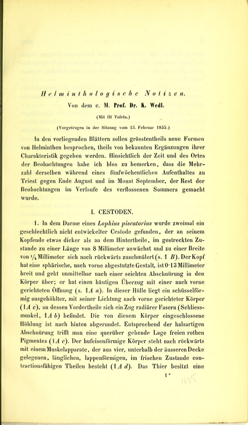 Vo» dein c. M. Prof. Dr. ft. Wedl. (Mit 111 Tafeln.) (Vorgetragen in der Sitzung vom 15. Februar 1855.) iti den vorliegenden Blättern sollen grösstentheils neue Formen von Helminthen besprochen, theils von bekannten Ergänzungen ihrer Charakteristik gegeben werden. Hinsichtlich der Zeit und des Ortes der Beobachtungen habe ich blos zu bemerken, dass die Mehr- zahl derselben während eines fünfwöchentlichen Aufenthaltes zu Triest gegen Ende August und im Monat September, der Best der Beobachtungen im Verlaufe des verflossenen Sommers gemacht wurde. I. CESTODEN. 1. In dem Darme eines Lophius piscatorius wurde zweimal ein geschlechtlich nicht entwickelter Cestode gefunden, der an seinem Kopfende etwas dicker als an dem Hintertheile, im gestreckten Zu- stande zu einer Länge von 8 Millimeter anwächst und zu einer Breite von 1/4 Millimeter sich nach rückwärts zuschmälert (s. 1 5). Der Kopf hat eine sphärische, nach vorne abgestutzte Gestalt, ist 0-13 Millimeter breit und geht unmittelbar nach einer seichten Abschnürung in den Körper über; er hat einen häutigen Überzug mit einer nach vorne gerichteten Öffnung (s. \A a). In dieser Hülle liegt ein schüsselför- mig ausgehöhlter, mit seiner Lichtung nach vorne gerichteter Körper (\A c), an dessen Vordertheile sich ein Zug radiärer Fasern (Schliess- rauskel, \A 6) befindet. Die von diesem Körper eingeschlossene Höhlung ist nach hinten abgerundet. Entsprechend der halsartigen Abschnürung trifft man eine querüber gehende Lage freien rothen Pigmentes (U c). Der hufeisenförmige Körper steht nach rückwärts mit einem Muskelapparate, der aus vier, unterhalb der äusseren Decke gelegenen, länglichen, lappenförmigen, im frischen Zustande con- tractionsfähigen Theilen besteht (1A d). Das Thier besitzt eine