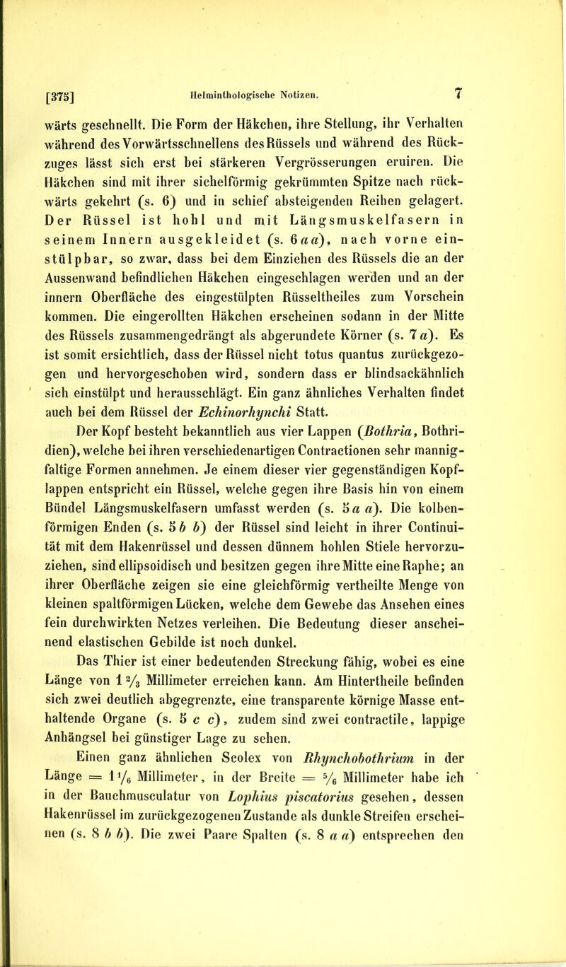 wärts geschnellt. Die Form der Häkchen, ihre Stellung, ihr Verhalten während des Vorwärtsschnellens des Rüssels und während des Rück- zuges lässt sich erst bei stärkeren Vergrösserungen eruiren. Die Häkchen sind mit ihrer sichelförmig gekrümmten Spitze nach rück- wärts gekehrt (s. 6) und in schief absteigenden Reihen gelagert. Der Rüssel ist hohl und mit Längsmuskelfasern in seinem Innern ausgekleidet (s. ^ad), nach vorne ein- stülp bar, so zwar, dass bei dem Einziehen des Rüssels die an der Aussenwand befindlichen Häkchen eingeschlagen werden und an der innern Oberfläche des eingestülpten Rüsseltheiles zum Vorschein kommen. Die eingerollten Häkchen erscheinen sodann in der Mitte des Rüssels zusammengedrängt als abgerundete Körner (s. Id). Es ist somit ersichtlich, dass der Rüssel nicht totus quantus zurückgezo- gen und hervorgeschoben wird, sondern dass er blindsackähnlich sich einstülpt und herausschlägt. Ein ganz ähnliches Verhalten findet auch bei dem Rüssel der Echinorhynchi Statt. Der Kopf besteht bekanntlich aus vier Lappen (Bothria^ Rothri- dien), welche bei ihren verschiedenartigen Contractionen sehr mannig- faltige Formen annehmen. Je einem dieser vier gegenständigen Kopf- lappen entspricht ein Rüssel, welche gegen ihre Rasis hin von einem Ründel Längsmuskelfasern umfasst werden (s. S a d). Die kolben- förmigen Enden (s. b) der Rüssel sind leicht in ihrer Continui- tät mit dem Hakenrüssel und dessen dünnem hohlen Stiele hervorzu- ziehen, sind ellipsoidisch und besitzen gegen ihre Mitte eine Raphe; an ihrer Oberfläche zeigen sie eine gleichförmig vertheilte Menge von kleinen spaltförmigen Lücken, welche dem Gewebe das Ansehen eines fein durchwirkten Netzes verleihen. Die Redeutung dieser anschei- nend elastischen Gebilde ist noch dunkel. Das Thier ist einer bedeutenden Streckung fähig, wobei es eine Länge von 12/3 Millimeter erreichen kann. Am Hintertheile befinden sich zwei deutlich abgegrenzte, eine transparente körnige Masse ent- haltende Organe (s. 5 c c), zudem sind zwei contractile, lappige Anhängsel bei günstiger Lage zu sehen. Einen ganz ähnlichen Scolex von Rhynchobothrium in der Länge = li/g Millimeter, in der Breite = Ve Millimeter habe ich in der Bauchmusculatur von Lophius piscatorius gesehen, dessen Hakenrüssel im zurückgezogenen Zustande als dunkle Streifen erschei- nen (s. 8 b b). Die zwei Paare Spalten (s. 8 a a) entsprechen den