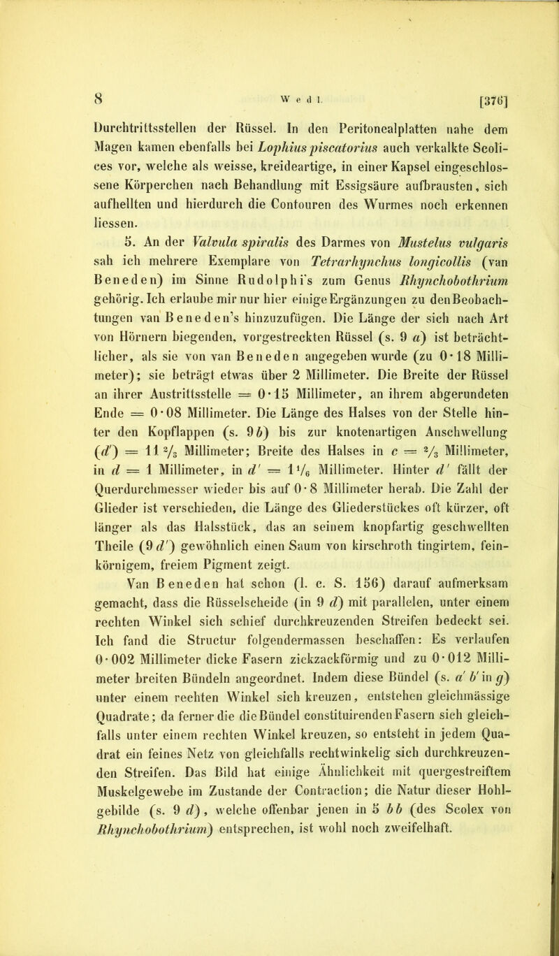 [376] Durchtrittsstellen der Rüssel. In den Peritonealplatten nahe dem Magen kamen ebenfalls bei Lophiuspiscatorius auch verkalkte Scoli- ces vor, welche als weisse, kreideartige, in einer Kapsel eingeschlos- sene Körperchen nach Behandlung mit Essigsäure aufbrausten, sich aufhellten und hierdurch die Contouren des Wurmes noch erkennen Hessen. 5. An der Valvula spiralis des Darmes von Mustelus vulgaris sah ich mehrere Exemplare von Tetrarhynchus longicolUs (van B e n e d e n) im Sinne R u d o 1 p h i’s zum Genus Rhynchobothrium gehörig. Ich erlaube mir nur liier einige Ergänzungen zu denBeobach- tungen van B e ne d en’s hinzuzufügen. Die Länge der sich nach Art von Hörnern biegenden, vorgestreckten Rüssel (s. 9 a) ist beträcht- licher, als sie von van Beneden angegeben wurde (zu 0*18 Milli- meter); sie beträgt etwas über 2 Millimeter. Die Breite der Rüssel an ihrer Austrittsstelle == 0*1H Millimeter, an ihrem abgerundeten Ende = 0*08 Millimeter. Die Länge des Halses von der Stelle hin- ter den Kopflappen (s. 96) bis zur knotenartigen Anschwellung (c?') = 11 Ys Millimeter; Breite des Halses in c — Vs Millimeter, in = 1 Millimeter, in d' = IVe Millimeter. Hinter d' fällt der Querdurchmesser wieder bis auf 0-8 Millimeter herab. Die Zahl der Glieder ist verschieden, die Länge des Gliederstückes oft kürzer, oft länger als das Halsstück, das an seinem knopfartig geschwellten Theile (9<7') gewöhnlich einen Saum von kirschroth tingirtem, fein- körnigem, freiem Pigment zeigt. Van Beneden hat schon (1. c. S. Ib6) darauf aufmerksam gemacht, dass die Rüsselscheide (in 9 d) mit parallelen, unter einem rechten Winkel sich schief durchkreuzenden Streifen bedeckt sei. Ich fand die Structur folgendermassen beschaffen: Es verlaufen 0*002 Millimeter dicke Fasern zickzackförmig und zu 0*012 Milli- meter breiten Bündeln angeordnet. Indem diese Bündel (s. a h' in ^) unter einem rechten Winkel sich kreuzen, entstehen gleichmässige Quadrate; da ferner die die Bündel constituirenden Fasern sich gleich- falls unter einem rechten Winkel kreuzen, so entsteht in jedem Qua- drat ein feines Netz von gleichfalls rechtwinkelig sich durchkreuzen- den Streifen. Das Bild hat einige Ähnlichkeit mit quergestreiftem Muskelgewebe im Zustande der Contraction; die Natur dieser Hohl- gebilde (s. 9 d), welche offenbar jenen in 5 6 6 (des Scolex von Rhynchobothrium) entsprechen, ist wohl noch zweifelhaft.