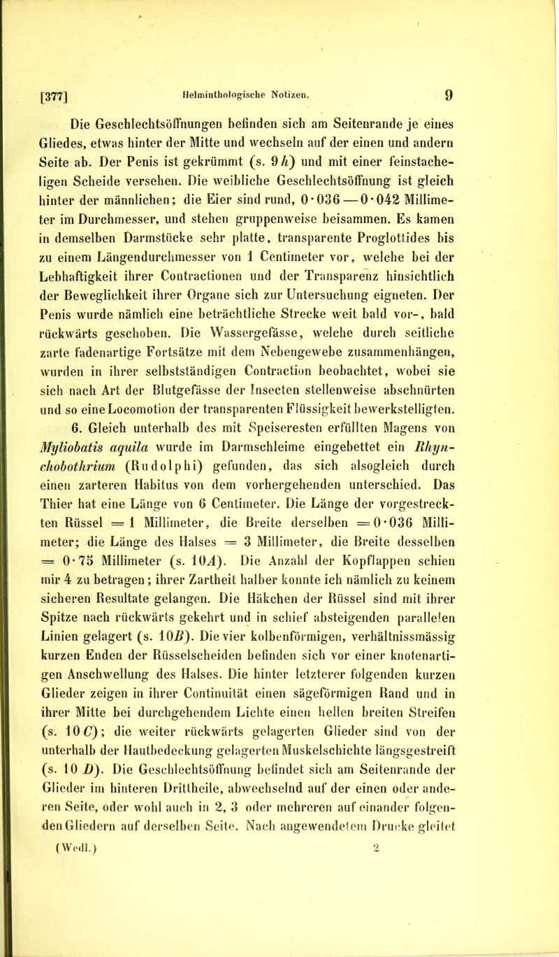 Die Geschlechtsöffnungen befinden sich am Seitenrande je eines Gliedes, etwas hinter der Mitte und wechseln auf der einen und andern Seite ab. Der Penis ist gekrümmt (s. 9/i) und mit einer feinstache- ligen Scheide versehen. Die weibliche Geschlechtsöffnung ist gleich hinter der männlichen; die Eier sind rund, 0*036 — 0*042 Millime- ter im Durchmesser, und stehen gruppenweise beisammen. Es kamen in demselben Darmstücke sehr platte, transparente Proglottides bis zu einem Längendurchmesser von 1 Centimeter vor, welche bei der Lebhaftigkeit ihrer Contractionen und der Transparenz hinsichtlich der Beweglichkeit ihrer Organe sich zur Untersuchung eigneten. Der Penis wurde nämlich eine beträchtliche Strecke weit bald vor-, bald rückwärts geschoben. Die Wassergefässe, welche durch seitliche zarte fadenartige Fortsätze mit dem Nebengewebe Zusammenhängen, wurden in ihrer selbstständigen Contraction beobachtet, wobei sie sich nach Art der Blutgefässe der Insecten stellenweise abschnürten und so eineLocomotion der transparenten Flüssigkeit bewerkstelligten. 6. Gleich unterhalb des mit Speiseresten erfüllten Magens von Myliobatis aquila wurde im Darmschleime eingebettet ein Rhyn- chobothrium (Rudolphi) gefunden, das sich alsogleich durch einen zarteren Habitus von dem vorhergehenden unterschied. Das Thier hat eine Länge von 6 Centimeter. Die Länge der vorgestreck- ten Rüssel =1 Millimeter, die Breite derselben =0*036 Milli- meter; die Länge des Halses = 3 Millimeter, die Breite desselben = 0*75 Millimeter (s. U)Ä). Die Anzahl der Kopflappen schien mir 4 zu betragen; ihrer Zartheit halber konnte ich nämlich zu keinem sicheren Resultate gelangen. Die Häkchen der Rüssel sind mit ihrer Spitze nach rückwärts gekehrt und in schief absteigenden parallelen Linien gelagert (s. iOB). Die vier kolbenförmigen, verhältnissmässig kurzen Enden der Rüsselscheiden befinden sich vor einer knotenarti- gen Anschwellung des Halses. Die hinter letzterer folgenden kurzen Glieder zeigen in ihrer Continuität einen sägeförmigen Rand und in ihrer Mitte bei durchgehendem Lichte einen heilen breiten Streifen (s. IOC); die weiter rückwärts gelagerten Glieder sind von der unterhalb der Hautbedeckung gelagerten Muskelschichte längsgestreift (s. 10 D). Die Geschlechtsöffnung befindet sich am Seitenrande der Glieder im hinteren Drittheile, abwechselnd auf der einen oder ande- ren Seite, oder wohl auch in 2, 3 oder mehreren auf einander folgen- den Gliedern auf derselben Seite. Nach angewendelem Drucke gleitet (Wo.ll.) 2
