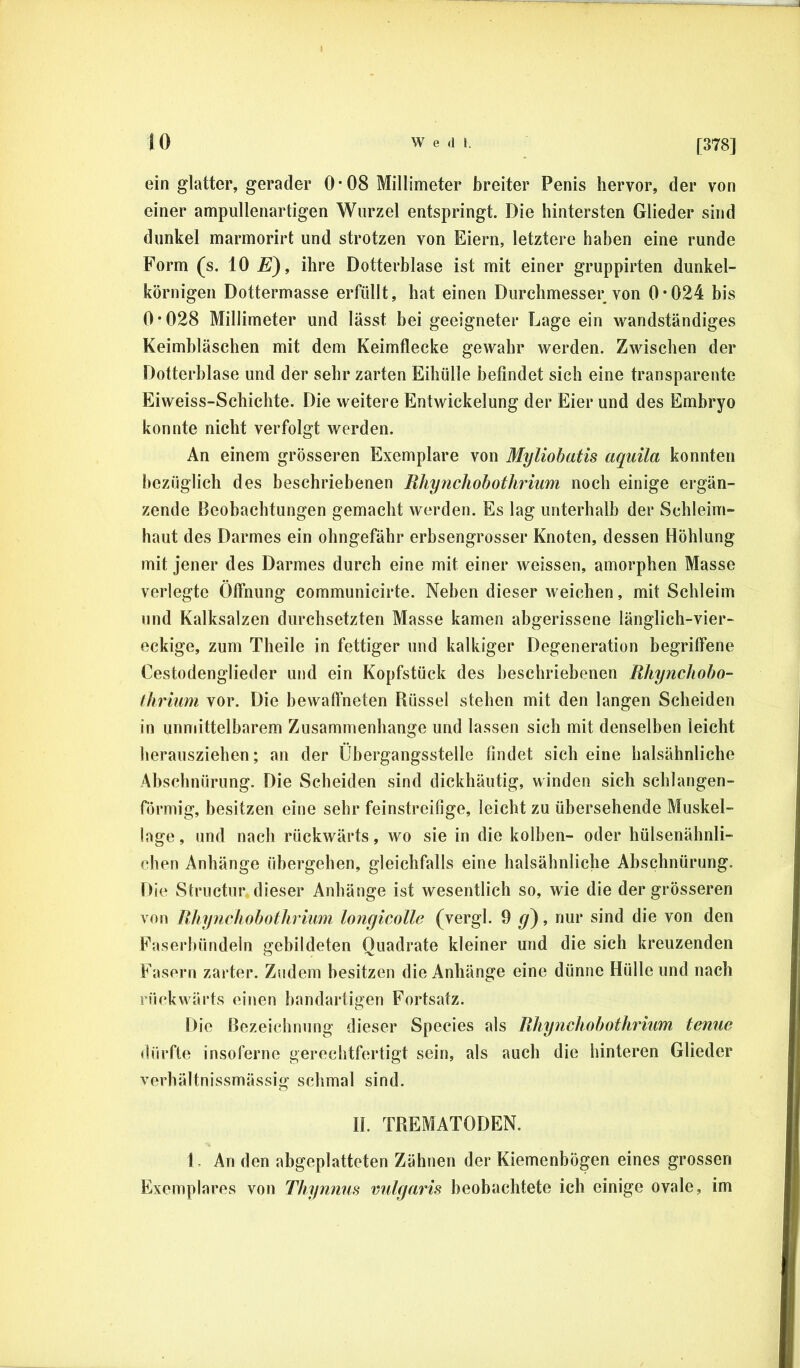 [378] ein glatter, gerader 0*08 Millimeter breiter Penis hervor, der von einer ampullenartigen Wurzel entspringt. Die hintersten Glieder sind dunkel marmorirt und strotzen von Eiern, letztere haben eine runde Form (s. 10 E), ihre Dotterblase ist mit einer gruppirten dunkel- körnigen Dottermasse erfüllt, hat einen Durchmesser von 0*024 bis 0*028 Millimeter und lässt bei geeigneter Lage ein wandständiges Keimbläschen mit dem Keimflecke gewahr werden. Zwischen der Dotterblase und der sehr zarten Eihülle befindet sich eine transparente Eiweiss-Schichte. Die weitere Entwickelung der Eier und des Embryo konnte nicht verfolgt werden. An einem grösseren Exemplare von Myliobatis aquila konnten bezüglich des beschriebenen Rhynchohothrium noch einige ergän- zende Beobachtungen gemacht werden. Es lag unterhalb der Schleim- haut des Darmes ein ohngefähr erbsengrosser Knoten, dessen Höhlung mit jener des Darmes durch eine mit einer weissen, amorphen Masse verlegte Öffnung communicirte. Neben dieser weichen, mit Schleim und Kalksalzen durchsetzten Masse kamen abgerissene länglich-vier- eckige, zum Theile in fettiger und kalkiger Degeneration begriffene Cestodenglieder und ein Kopfstück des beschriebenen Rhynchobo- thrium vor. Die bewaffneten Rüssel stehen mit den langen Scheiden in unmittelbarem Zusammenhänge und lassen sich mit denselben leicht herausziehen; an der Übergangsstelle findet sich eine halsähnliche Abschnürung. Die Scheiden sind dickhäutig, winden sich schlangen- förmig, besitzen eine sehr feinstreifige, leicht zu übersehende Muskel- Inge, und nach rückwärts, wo sie in die kolben- oder hülsenähnli- chen Anhänge übergehen, gleichfalls eine halsähnliche Abschnürung, Die Structur dieser Anhänge ist wesentlich so, wie die der grösseren von Rhynchobothrimi longicolle (vergl. 9 , nur sind die von den Faserbündeln gebildeten Quadrate kleiner und die sich kreuzenden Fasern zarter. Zudem besitzen die Anhänge eine dünne Hülle und nach rückwärts einen bandartigen Fortsatz. Die Bezeichnung dieser Species als Rhynchobothrium tenue dürfte insoferne gerechtfertigt sein, als auch die hinteren Glieder verhältnissmässig schmal sind. II. TREMATODEN. L An den abgeplatteten Zähnen der Kiemenbögen eines grossen Exemplares von Thynnm vulyaris beobachtete ich einige ovale, im