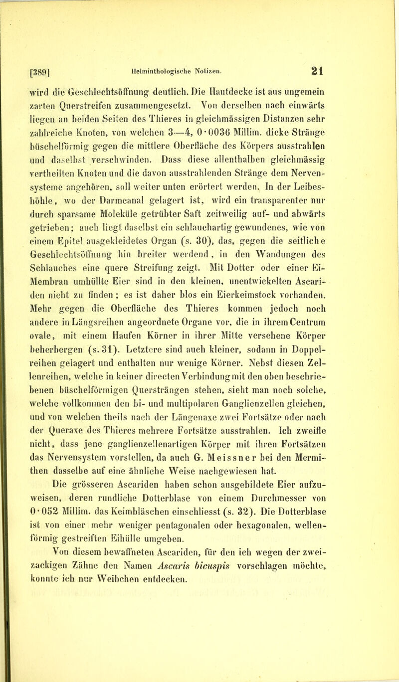 [389] wird die Geschleclitsöffnung deutlich. Die Hautdecke ist aus ungemein zarlen Querstreifen zusammengesetzt. Von derselben nach einwärts liegen an beiden Seiten des Thieres in gleichmässigen Distanzen sehr zahlreiche Knoten, von welchen 3—4, 0*0036 Millim. dicke Stränge büschelförmig gegen die mittlere Obertläche des Körpers ausstrahlen und daselbst verschwinden. Dass diese allenthalben gleichmässig vertheüten Knoten und die davon ausstrahlenden Stränge dem Nerven- systeme angehören, soll weiter unten erörtert werden. In der Leibes- höhle, wo der Darmcanal gelagert ist, wird ein transparenter nur durch sparsame Moleküle getrübter Saft zeitweilig auf- und abwärts getrieben; auch liegt daselbst ein schlauchartig gewundenes, wie von einem Epitel ausgekleidetes Organ (s. 30), das, gegen die seitliche Geschlechtsöffnung hin breiter werdend , in den Wandungen des Schlauches eine quere Streifung zeigt. Mit Dotter oder einer Ei- Membran umhüllte Eier sind in den kleinen, unentwickelten Ascari- den nicht zu finden ; es ist daher blos ein Eierkeimstock vorhanden. Mehr gegen die Oberfläche des Thieres kommen jedoch noch andere in Längsreihen angeordnete Organe vor, die in ihrem Centrum ovale, mit einem Haufen Körner in ihrer Mitte versehene Körper beherbergen (s. 31). Letztere sind auch kleiner, sodann in Doppel- reihen gelagert und enthalten nur wenige Körner. Nebst diesen Zel- lenreihen, welche in keiner directen Verbindung mit den oben beschrie- benen büschelförmigen Quersträngen stehen, sieht man noch solche, welche vollkommen den bi- und multipolaren Ganglienzellen gleichen, und von welchen theils nach der Längenaxe zwei Forlsätze oder nach der Queraxe des Thieres mehrere Fortsätze ausstrahlen. Ich zweifle nicht, dass jene ganglienzellenartigen Körper mit ihren Fortsätzen das Nervensystem vorstellen, da auch G. Meissner bei den Mermi- then dasselbe auf eine ähnliche Weise nachgewiesen hat. Die grösseren Ascariden haben schon ausgebildete Eier aufzu- weisen, deren rundliche Dotterblase von einem Durchmesser von 0*052 Millim. das Keimbläschen einschliesst (s. 32). Die Dotterblase ist von einer mehr weniger pentagonalen oder hexagonalen, wellen- förmig gestreiften Eihülle umgeben. Von diesem bewaffneten Ascariden, für den ich wegen der zwei- zackigen Zähne den Namen Ascaris bicuspis Vorschlägen möchte, konnte ich nur Weihehen entdecken.