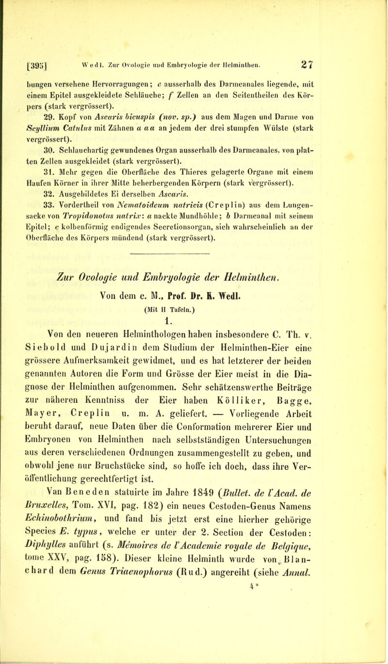 bungen versehene Hervorragiiiigen; e ausserhalb des Darmcanales liegende, mit einem Epitel ausgekleidete Schläuche; f Zellen an den Seitentheilen des Kör- pers (stark vergrössert). 29. Kopf von Ascaris hicuspis fnov. sp.) aus dem Magen und Darme von Scyllium Catulas mit Zähnen a aa an jedem der drei stumpfen Wülste (stark vergrössert). 30. Schlauchartig gewundenes Organ ausserhalb des Darmcanales, von plat- ten Zellen ausgekleidet (stark vergrössert). 31. Mehr gegen die Oberfläche des Thieres gelagerte Organe mit einem Haufen Körner in ihrer Mitte beherbergenden Körpern (stark v\irgrössert). 32. Ausgebildetes Ei derselben Ascaris. 33. Vordertheil \on Nematoideum wafWcis (Crep 1 in) aus dem Lungen- sacke von Tropidonotus natrix: a nackte Mundhöhle; h Darmcanal mit seinem Epitel; c kolbenförmig endigendes Secretionsorgan, sich wahrscheinlich an der Oberfläche des Körpers mündend (stark vergrössert). Zur Oüologie und Embryologie der Helminthen. i Von dem c. M., Prof. Dr. R. Wedl. | (Mit II Tafeln.) 1- Von den neueren Helminthologen haben insbesondere C. Th. v. Siebold und Dujardin dem Studium der Helminthen-Eier eine grössere Aufmerksamkeit gewidmet, und es hat letzterer der beiden genannten Autoren die Form und Grosse der Eier meist in die Dia- gnose der Helminthen aufgenommen. Sehr schätzenswerthe Beiträge zur näheren Kenntniss der Eier haben Kölliker, Bagge, Mayer, Creplin u. m. A. geliefert. — Vorliegende Arbeit | beruht darauf, neue Daten über die Conformation mehrerer Eier und Embryonen von Helmintben nach selbstständigen Untersuchungen 3 aus deren verschiedenen Ordnungen zusammengestellt zu geben, und obwohl jene nur Bruchstücke sind, so hoffe ich doch, dass ihre Ver- ü öffentlichung gerechtfertigt ist. ^ Van Bene den statuirte im Jahre 1849 {Bidlet. de VAcad. de Bruxelles, Tom. XVI, pag. 182) ein neues Cestoden-Genus Namens Echinobothrium, und fand bis jetzt erst eine hierher gehörige Species E. typus, welche er unter der 2. Section der Cestoden: Diphylles anführt (s. Memoires de VAcademie royale de Belgique, tome XXV, pag. 158). Dieser kleine Helmintli wurde von^ Blan- chard dem Genus Triaenophorus (Bud.) angereiht (siehe Annal. 4^