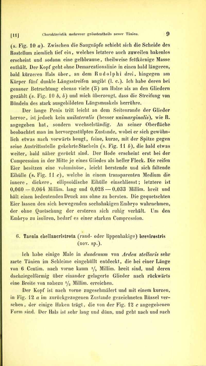 [HJ (s. Fig. 10 a). Zwischen die Saugnäpfe schiebt sich die Scheide des Rosteilum ziemlich tief ein, welches letztere auch zuweilen hakenlos erscheint und sodann eine gelbbraune, theilweise fettkörnige Masse enthält. Der Kopf geht ohne Demarcationslinie in einen bald längeren, bald kürzeren Hals über, an dem Rudolphi drei, hingegen am Körper fünf dunkle Längsstreifen angibt (1. c.). ich habe deren bei genauer Betrachtung ebenso viele (5) am Halse als an den Gliedern gezählt (s. Fig. 10 6, &) und mich überzeugt, dass die Streifung von Bündeln des stark ausgebildeten Längsmuskels herrühre. Der lange Penis tritt leicht an dem Seitenrande der Glieder hervor, ist jedoch unilateralis unimarginalis^i wie R. angegeben hat, sondern wechselständig. An seiner Oberfläche beobachtet man im hervorgestülpten Zustande, wobei er sich gewöhn- lich etwas nach vorwärts beugt, feine, kurze, mit der Spitze gegen seine Austrittsstelle gekehrteStacheln (s. Fig. 11 ö), die bald etwas weiter, bald näher gerückt sind. Der Hode erscheint erst bei der Compression in der Mitte je eines Gliedes als heller Fleck. Die reifen Eier besitzen eine voluminöse, leicht berstende und sich faltende Eihülle (s. Fig. 11c), welche in einem transparenten Medium die innere , dickere, ellipsoidische Eihülle einschliesst; letztere ist 0,060 — 0,064 Millim. lang und 0,028 — 0,033 Millim. breit und hält einen bedeutenden Druck aus ohne zu bersten. Die gequetschten Eier lassen den sich bewegenden sechshakigen Embryo wahrnehmeri, der ohne Quetschung der ersteren sich ruhig verhält. Um den Embryo zu isoliren, bedarf es einer starken Compression. 6. Taenia clieliaEcristrota (rand- oder lippenhakige) brevirostris (nov. sp.). Ich habe einige Male in duodemim von Ardea stellaris sehr zarte Tänien im Schleime eingehüllt entdeckt, die bei einer Länge von 6 Centim. nach vorne kaum 1/5 Millim. breit sind, und deren dachziegelförmig über einander gelagerte Glieder nach rückwärts eine Breite von nahezu Ya Millim. erreichen. Der Kopf ist nach vorne zugeschmälert und mit einem kurzen, in Fig. 12 im zurückgezogenen Zustande gezeichneten Rüssel ver- sehen, der einige Haken trägt, die von der Fig. 12 c angegebenen Form sind. Der Hals ist sehr lang und dünn, und geht nach und nach