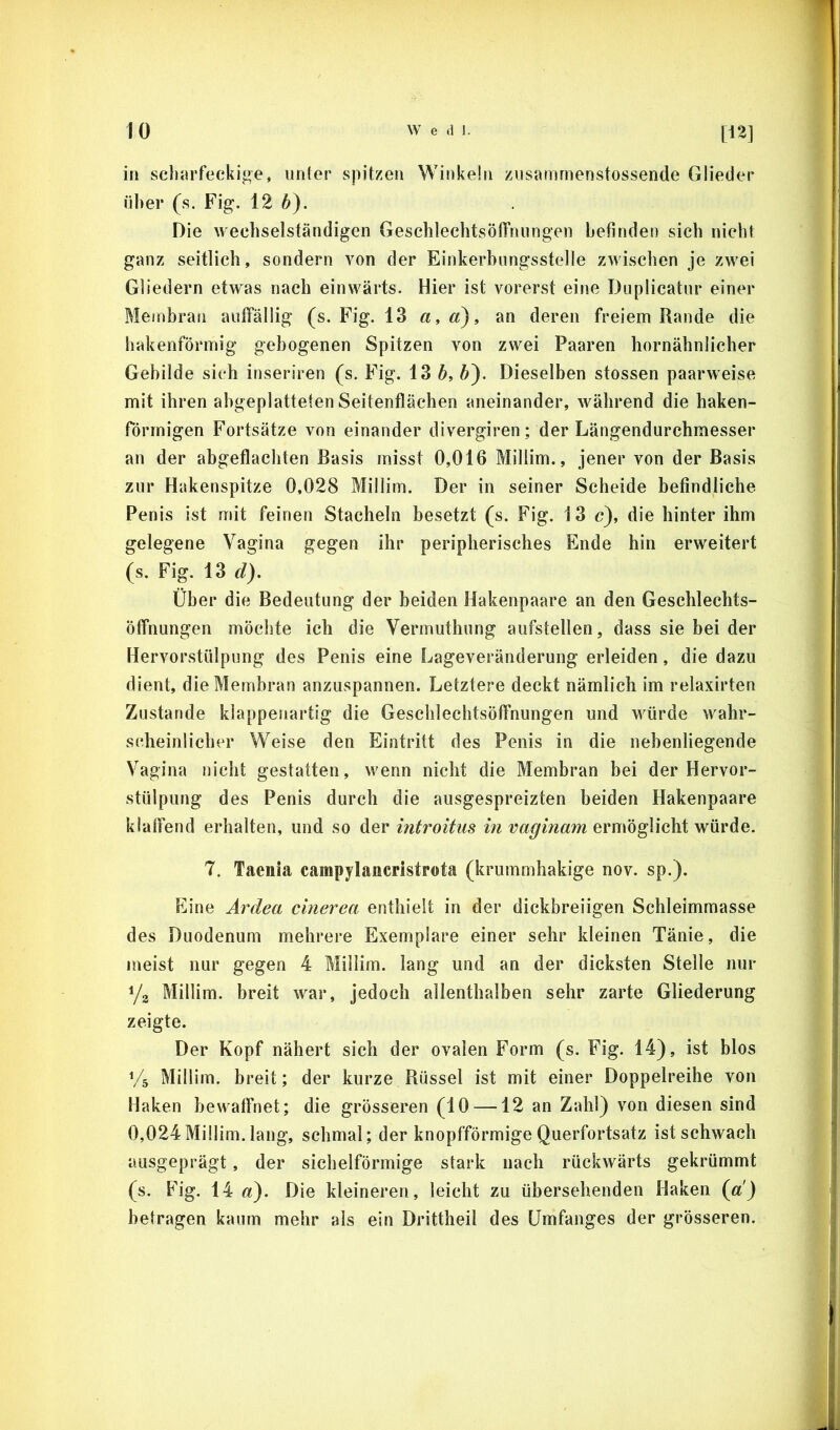 in scliarfeckige, unter spitzen Winkein zusammenstossende Glieder über (s. Fig. 12 6). Die wecbselständigen Geschlechtsöffniingen befinden sieb nicht ganz seitlich, sondern von der Einkerbungsstelle zwischen je zwei Gliedern etwas nach einwärts. Hier ist vorerst eine Duplicatur einer Membran auffällig (s. Fig. 13 «, «), an deren freiem Rande die hakenförmig gebogenen Spitzen von zwei Paaren hornäbnlicber Gebilde sich inseriren (s. Fig. 13 6, 6). Dieselben stossen paarweise mit ihren abgeplatteten Seitenflächen aneinander, während die haken- förmigen Fortsätze von einander divergiren; der Längendurchmesser an der abgeflachten Basis misst 0,016 Millim., jener von der Basis zur Hakenspitze 0.028 Millim. Der in seiner Scheide befindliche Penis ist mit feinen Stacheln besetzt (s. Fig. 13 c), die hinter ihm gelegene Vagina gegen ihr peripherisches Ende hin erweitert (s. Fig. 13 d). Über die Bedeutung der beiden Hakenpaare an den Geschlechts- öffnungen möchte ich die Vermuthung aufstellen, dass sie bei der Hervorstülpung des Penis eine Lageveränderung erleiden, die dazu dient, die Membran anzuspannen. Letztere deckt nämlich im relaxirten Zustande klappenartig die Geschlecbtsöffnungen und wmrde w^ahr- scheinlicher Weise den Eintritt des Penis in die nebenliegende Vagina nicht gestatten, wenn nicht die Membran bei der Hervor- stülpung des Penis durch die ausgespreizten beiden Hakenpaare klaffend erhalten, und so der introitus in vaginam ermöglicht würde. 7. Taenia campylancristrota (krummhakige nov. sp.). Eine Ardea cinerea enthielt in der dickbreiigen Schleimmasse des Duodenum mehrere Exemplare einer sehr kleinen Tänie, die meist nur gegen 4 Millim. lang und an der dicksten Stelle nur i/a Millim. breit war, jedoch allenthalben sehr zarte Gliederung zeigte. Der Kopf nähert sich der ovalen Form (s. Fig. 14), ist blos Vs Millim. breit; der kurze Rüssel ist mit einer Doppelreihe von Haken bewaffnet; die grösseren (10 —12 an Zahl) von diesen sind 0,024 Millim. lang, schmal; der knopfförmige Querfortsatz ist schwach ausgeprägt, der sichelförmige stark nach rückwärts gekrümmt (s. P7g. 14 a). Die kleineren, leicht zu übersehenden Haken {a) betragen kaum mehr als ein Drittheil des Umfanges der grösseren.