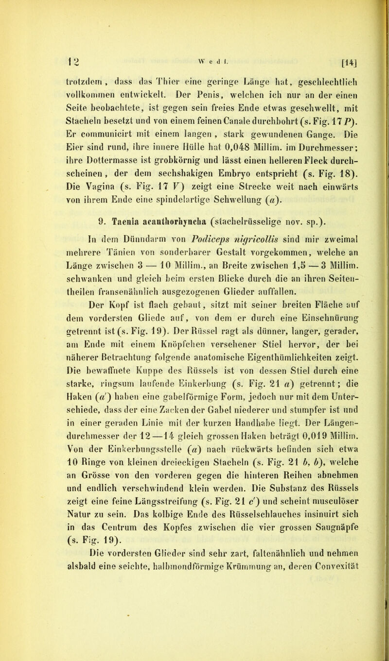 trotzdeni , dass das Thier eine geringe Länge hat, geschlechtlich vollkommen entwickelt. Der Penis, welchen ich nur an der einen Seite heobachtete, ist gegen sein freies Ende etwas geschwellt, mit Stacheln besetzt und von einem feinen Canale durchbohrt (s. Fig. 17P). Er communicirt mit einem langen , stark gewundenen Gange. Die Eier sind rund, ihre innere Hülle hat 0,048 Millim. im Durchmesser; ihre Dottermasse ist grobkörnig und lässt einen helleren Fleck durch- scheinen , der dem sechshakigen Embryo entspricht (s. Fig. 18). Die Vagina (s. Fig. 17 F) zeigt eine Strecke weit nach einwärts von ihrem Ende eine spindelartige Schwellung («). 9. Taenia acanthorhyncha (stachelrüsselige nov. sp.). In dem Dünndarm von Podiceps nigricollis sind mir zweimal mehrere Tänien von sonderbarer Gestalt vorgekommen, welche an Länge zvrischen 3 — 10 Millim., an Breite zwischen 1,5 — 3 Millim. schwanken und gleich beim ersten Blicke durch die an ihren Seiten- theilen fransenähnlich ausgezogenen Glieder auffallen. Der Kopf ist flach gebaut, sitzt mit seiner breiten Fläche auf dem vordersten Gliede auf, von dem er durch eine Einschnürung getrennt ist (s. Fig. 19). Der Rüssel ragt als dünner, langer, gerader, am Ende mit einem Knöpfchen versehener Stiel hervor, der bei näherer Betrachtung folgende anatomische Eigenthümlichkeiten zeigt. Die bewaffnete Kuppe des Rüssels ist von dessen Stiel durch eine starke, ringsum laufende Einkerbung (s. Fig. 21 a) getrennt; die Haken (a ) haben eine gabelförmige Form, jedoch nur mit dem Unter- schiede, dass der eine Zacken der Gabel niederer und stumpfer ist und in einer geraden Linie mit der kurzen Handhabe liegt. Der Längeu- durchmesser der 12—14 gleich grossen Haken beträgt 0,019 Millim. Von der Einkerbungsstclle (a) nach rückwärts befinden sich etwa 10 Ringe von kleinen dreieckigen Stacheln (s. Fig. 21 b, 6), welche an Grösse von den vorderen gegen die hinteren Reihen abnehmen und endlich verschwindend klein werden. Die Substanz des Rüssels zeigt eine feine Längsstreifung (s. Fig. 21 c) und scheint musculöser Natur zu sein. Das kolbige Ende des Rüsselschlauches insinuirt sich in das Centrum des Kopfes zwischen die vier grossen Saugnäpfe (s. Fig. 19). Die vordersten Glieder sind sehr zart, faltenähnlich und nehmen alsbald eine seichte, halbmondförmige Krümmung an, deren Convexität