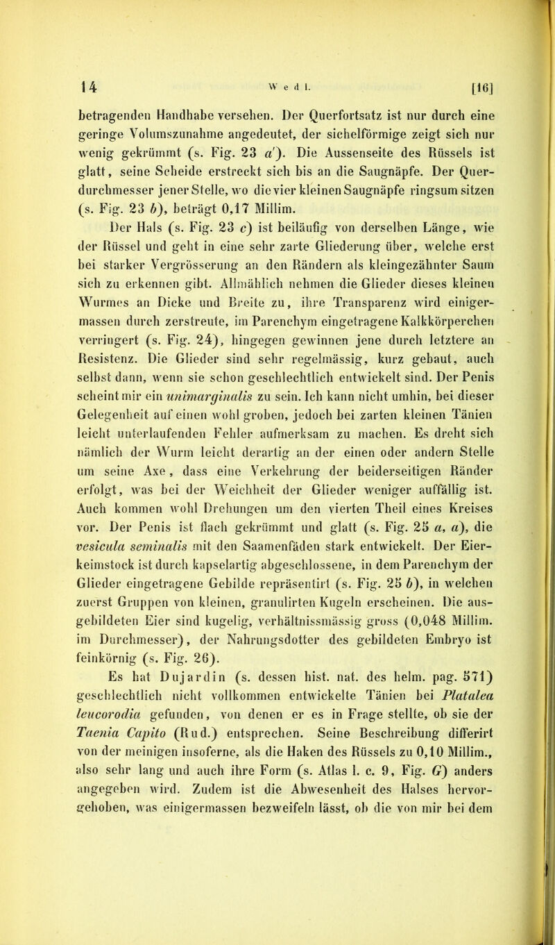 betragenden Handhabe versehen. Der Querfortsatz ist nur durch eine geringe Volumszunahnae angedeutet, der sichelförmige zeigt sich nur wenig gekrümmt (s. Fig. 23 a'). Die Aussenseite des Rüssels ist glatt, seine Scheide erstreckt sich bis an die Saugnäpfe. Der Quer- durchmesser jener Stelle, wo die vier kleinen Saugnäpfe ringsum sitzen (s. Fig. 23 ö)» beträgt 0,17 Millim. Der Hals (s. Fig. 23 c) ist beiläufig von derselben Länge, wie der Rüssel und geht in eine sehr zarte Gliederung über, welche erst bei starker VergrÖsserung an den Rändern als kleingezähnter Saum sich zu erkennen gibt. AÜmählich nehmen die Glieder dieses kleinen Wurmes an Dicke und Breite zu, ihre Transparenz wird einiger- massen durch zerstreute, im Parenchym eingetragene Kalkkörpercheri verringert (s. Fig. 24), hingegen gewinnen jene durch letztere an Resistenz. Die Glieder sind sehr regelmässig, kurz gebaut, auch selbst dann, wenn sie schon geschlechtlich entwickelt sind. Der Penis scheint mir ein wiimarginalis zu sein. Ich kann nicht umhin, bei dieser Gelegenheit auf einen wohl groben, jedoch bei zarten kleinen Tänien leicht unterlaufenden Fehler aufmerksam zu machen. Es dreht sich nämlich der Wurm leicht derartig an der einen oder andern Stelle um seine Axe, dass eine Verkehrung der beiderseitigen Ränder erfolgt, was bei der Weichheit der Glieder weniger auffällig ist. Auch kommen wohl Drehungen um den vierten Ttieil eines Kreises vor. Der Penis ist flach gekrümmt und glatt (s. Fig. 25 a, a), die vesicula seminalis mit den Saamenfäden stark entwickelt. Der Eier- keimstock ist durch kapselartig abgeschlossene, in dem Parenchym der Glieder eingetragene Gebilde repräsentirt (s. Fig. 25 6), in welchen zuerst Gruppen von kleinen, granulirten Kugeln erscheinen. Die aus- gebildeten Eier sind kugelig, verhältnissmässig gross (0,048 Millim. im Durchmesser), der Nahrungsdotter des gebildeten Embryo ist feinkörnig (s. Fig. 26). Es hat Dujardin (s. dessen hist. nat. des heim. pag. 571) geschlechtlich nicht vollkommen entwickelte Tänien bei Platalea leucorodia gefunden, von denen er es in Frage stellte, ob sie der Taenia Capito (Rud.) entsprechen. Seine Beschreibung differirt von der meinigen insoferne, als die Haken des Rüssels zu 0,10 Millim., also sehr lang und auch ihre Form (s. Atlas 1. c. 9, Fig. G) anders angegeben wird. Zudem ist die Abwesenheit des Halses hervor- gehoben, was einigermassen bezweifeln lässt, ob die von mir bei dem