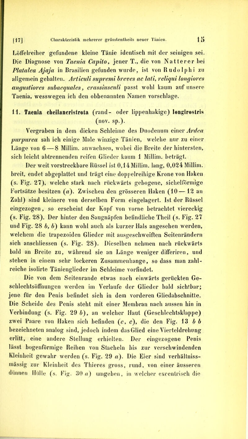 Löffelreiher gefundene kleine Tänie identisch mit der seinigen sei. Die Diagnose von Taenia Capito, jener T., die von Natter er hei Platalea Äjaja in Brasilien gefunden wurde, ist von Rudolphi zu allgemein gehalten. Articuli supremi hreves ac lati, reliqui longiores angustiores subaequales, crassinsculi passt wohl kaum auf unsei e Taenia, wesswegen ich den obbenannten Namen vorschlage. 11. Taenia cheilancristrota (rand- oder lippenhakige) longirostris (nov. sp.). Vergraben in dem dicken Schleime des Duodenum elnev Ardea purpurea sah ich einige Male winzige Tänien, welche nur zu einer Länge von 6 — 8 Millim. anwachsen, wobei die Breite der hintersten, sich leicht abtrennenden reifen Glieder kaum 1 Millim. beträgt. Der weit vorstreckbare Rüssel ist 0,14Millim. lang, 0,024 Millim. breit, endet abgeplattet und trägt eine doppelreihige Krone von Haken (s. Fig. 27), welche stark nach rückwärts gebogene, sichelförmige Fortsätze besitzen (a). Zwischen den grösseren Haken (10—12 an Zahl) sind kleinere von derselben Form eingelagert. Ist der Rüssel eingezogen, so erscheint der Kopf von vorne betrachtet viereckig (s. Fig. 28). Der hinter den Saugnäpfen befindliche Theil (s. Fig. 27 und Fig. 28 b, 6) kann wohl auch als kurzer Hals angesehen werden, welchem die trapezoiden Glieder mit ausgeschweiften Seitenrändern sich anschliessen (s. Fig. 28). Dieselben nehmen nach rückwärts bald an Breite zu, während sie an Länge weniger differiren, und stehen in einem sehr lockeren Zusammenhänge, so dass man zahl- reiche isolirte Tänienglieder im Schleime vorfindet. Die von dem Seitenrande etwas nach einwärts gerückten Ge- schlechtsöffnungen werden im Verlaufe der Glieder bald sichtbar; jene für den Penis befindet sich in dem vorderen Gliedabschnitte. Die Scheide des Penis steht mit einer Membran nach aussen hin in Verbindung (s. Fig. 29 6), an welcher Haut (Geschlechtsklappe) zwei Paare von Haken sich befinden (c, c), die den Fig. 13 b b bezeichneten analog sind, jedoch indem das Glied eine Vierteldrehung erlitt, eine andere Stellung erhielten. Der eingezogene Penis lässt bogenförmige Reihen von Stacheln bis zur verschwindenden Kleinheit gewahr werden (s. Fig. 29 ^x). Die Eier sind verhältniss- mässig zur Kleinheit des Thieres gross, rund, von einer äusseren dünnen Hidle (s. Fig. 30 a) umgeben, in welcher excentrisch die