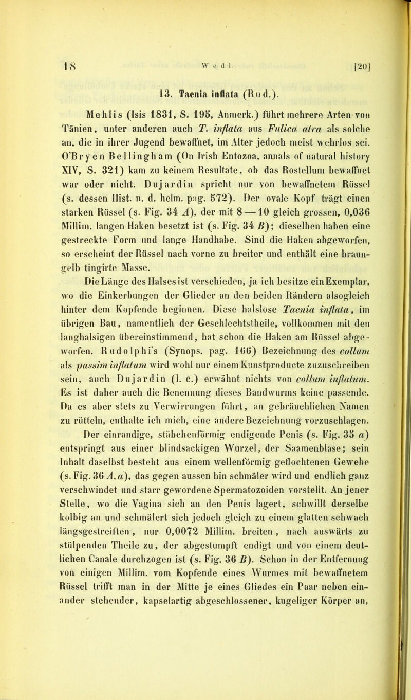 13. Taenia inflata (Rud.). Mehlis (Isis 1831, S. 193, Anmerk.) führt mehrere Arten von Tänien, unter anderen auch T. inflata aus Fulica atra als solche an, die in ihrer Jugend bewaffnet, im Alter jedoch meist wehrlos sei. O'Bryen Bellingham (On Irish Entozoa, annals of natural history XIV, S. 321) kam zu keinem Resultate, ob das Rostellum bewaffnet war oder nicht. Dujardin spricht nur von bewaffnetem Rüssel (s. dessen Hist. n. d. heim. pag. 372). Der ovale Kopf trägt einen starken Rüssel (s. Fig. 34 J), der mit 8 —10 gleich grossen, 0,036 Millim. langen Haken besetzt ist (s. Fig. 34 By, dieselben haben eine gestreckte Form und lange Handhabe. Sind die Haken abgeworfen, so erscheint der Rüssel nach vorne zu breiter und enthält eine braun- gelb tingirte Masse. Die Länge des Halses ist verschieden, ja ich besitze ein Exemplar, wo die Einkerbungen der Glieder an den beiden Rändern alsogleich hinter dem Kopfende beginnen. Diese halslose Taenia inflata^ im übrigen Bau, namentlich der Geschlechtstheile, vollkommen mit den langhalsigen übereinstimmend, hat schon die Haken am Rüssel abge- worfen. Rudolphi’s (Synops. pag. 166) Bezeichnung des als imssiminflatum wird wohl nur einem Kunstproducte zuzuschreiben sein, auch Dujardin (1. c.) erwähnt nichts won coUum inflatum. Es ist daher auch die Benennung dieses Bandwurms keine passende. Da es aber stets zu Verwirrungen führt, an gebräuchlichen Namen zu rütteln, enthalte ich mich, eine andere Bezeichnung vorzuschlagen. Der einrandige, stäbchenförmig endigende Penis (s. Fig. 33 d) entspringt aus einer blindsackigen Wurzel, der Saamenblase; sein Inhalt daselbst besteht aus einem wellenförmig geflochtenen Gewebe (s. Fig. 36^,«), das gegen aussen hin schmäler wird und endlich ganz verschwindet und starr gewordene Spermatozoiden vorstelit. An jener Stelle, wo die Vagina sich an den Penis lagert, schwillt derselbe kolbig an und schmälert sich jedoch gleich zu einem glatten schwach längsgestreiften , nur 0,0072 Millim. breiten, nach auswärts zu stülpenden Theile zu, der abgestumpft endigt und von einem deut- lichen Canale durchzogen ist (s. Fig. 36 5). Schon in der Entfernung von einigen Millim. vom Kopfende eines Wurmes mit bewaffnetem Rüssel trifft man in der Mitte je eines Gliedes ein Paar neben ein- ander stehender, kapselartig abgeschlossener, kugeliger Körper an.