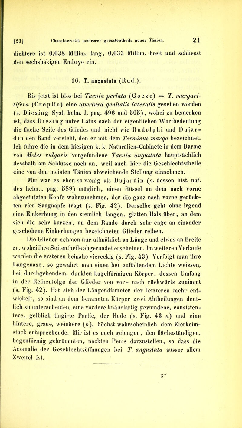 dichtere ist 0,038 Millini. lang, 0,033 Millini. breit und schliesst den seclisliakigen Embryo ein. 16. T. angustata (Rud.). Bis jetzt ist blos bei Taenia perlata (Goeze) = T. margari- tifera (Creplin) eine apertura genitalis lateralis gesehen worden (s. Diesing Syst. heim. J, pag. 496 und 505), wobei zu bemerken ist, dass Diesing unter Latus nach der eigentlichen Wortbedeutung die flache Seite des Gliedes und nicht wie Rudolphi und Dujar- din den Rand versteht, den er mit dem Terminus margo bezeichnet. Ich führe die in dem hiesigen k. k. Naturalien-Cabinete in dem Darme von Bleies vulgaris Vorgefundene Taenia angustata hauptsächlich desshalb am Schlüsse noch an, weil auch hier die Geschlechtstheile eine von den meisten Tänien abweichende Stellung einnehmen. Mir war es ebensowenig als Dujardin (s. dessen hist. nat. des heim., pag. 589) möglich, einen Rüssel an dem nach vorne abgestutzten Kopfe wahrzunehmen, der die ganz nach vorne gerück- ten vier Saugnäpfe trägt (s. Fig. 42). Derselbe geht ohne irgend eine Einkerbung in den ziemlich langen, glatten Hals über, an dem sich die sehr kurzen, an dem Rande durch sehr enge an einander g(?schobene Einkerbungen bezeichneten Glieder reihen. Die Glieder nehmen nur allmählich an Länge und etwas an Breite zu, wobei ihre Seitentheile abgerundet erscheinen. Im weiteren Verlaufe werden die ersteren beinahe viereckig (s. Fig. 43). Verfolgt man ihre Längenaxe, so gewahrt man einen bei auffallendem Lichte weissen, bei durchgehendem, dunklen kugelförmigen Körper, dessen Umfang in der Reihenfolge der Glieder von vor- nach rückwärts zunimmt (s. Fig. 42). Hat sich der Längendiameter der letzteren mehr ent- wickelt, so sind an dem benannten Körper zwei Abtheilungen deut- lich zu unterscheiden, eine vordere knäuelartig gewundene, consisten- tere, gelblich tingirte Partie, der Hode (s. Fig. 43 r/) und eine hintere, graue, weichere (6), höchst wahrscheinlich dem Eierkeim- stock entsprechende. Mir ist es auch gelungen, den flächeständigen, bogenförmig gekrümmten, nackten Penis darzustellen, so dass die Anomalie der Geschlechtsöffnungen bei T. angustata ausser allem Zweifel ist. 3*