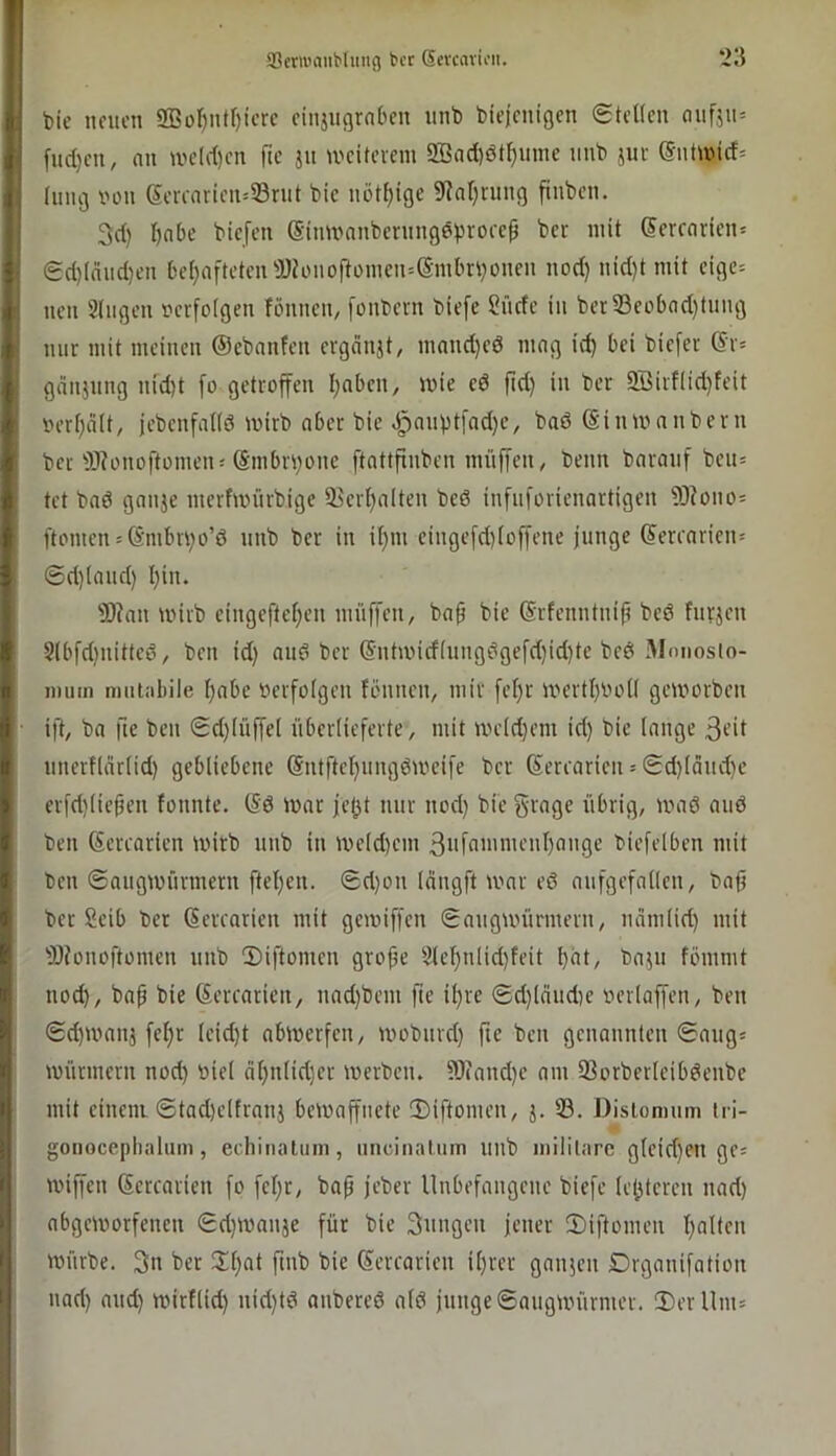 feie neuen 9Büf)nt[)ierc einjngrnben nnb diejenigen SteKcn auf,511= fud)en, nn we(d)en fic jn weiterem 2Bad)öt^uinc und jur @ntwid= inng von {5erearien=S3rut die uütf)ige 5(?ar)rung finden. 3d) i^nbe diefen (Sinwandernngeproeep der mit Terrarien* 0d)(niid)en beijnfteten^Jhmoftomen'-Smbrponen nod) nid)t mit eige= neu Singen t'erfolgen fönnen, [ondern diefe Sude in der58eobad)tiing nur mit meinen ©cdnnfen ergdnjt/ mand}eö mag it^ bei diefer ®r= gdnjnng nid)t [0 getroffen I;nbcn, wie ed fid) in der 5ÖirfIid)feit oerfjält, jedenfadö wird ober die Jpnnptfad)e, daß (Sinwnndern der Ü)?onoftomen^ (Smbrpone ftnttfinden müffcii/ denn darauf deu= tet daß ganje merfwürdige 3icrl)alten dcß infnforienartigen 9)?ono= ftomen = ömbrpo’ß und der in il)in eingefd)(offene junge (Sercarien= ©d)Iand) I)in. 3)?an wird eingefleljen nuiffen, daf die ©rfenntnif? deß fnrjen S(bfd)iiitteß, den id) auß der @ntwid(ungßgefd)id}te deß Mmmsio- jmim imitobile I)abe »erfolgen fönnen, mir feljr wertl}»oll geworden ift, da fte den 0d)lüffel überlieferte, mit weld)em id) die lange 3fil nnerflnrlid) gebliebene (Sntftef)iingßweife der Serearien - 0d)läiid)e crfd)liepen fonnte. (5ß War jetjt nur nod) die Sfoflc übrig, waß auß den ßercarien wird und in weld)em 3iifni»menl)onge diefelben mit den ©augwnrmern ffel)en. 0d)on längft war eß anfgefnllen, daü der Seib der (Sercarien mit gewiffen 0angwürmern, namlid) mit 3)?onoftomen und 2)iftomen gro^e Slel)nlid)feit l)üt, dajn fömmt nod), dap die Kercarien, nad)dem fie it)re 0d)läudie »erlaffen, den 0d)Wau3 fel)r leid)t abwerfen, wodurd) fie den genannten 0ang= Würmern nod) »iel ät)nlid)er werden. 5D(and)e am 93orderleibßende mit einem 0tad)eltrnnj bewaffnete !Diftomen, j. 33. Dislomum iri- gonocephahim, ecliinaliiin, uncinatum und inililarc gleid)en ge= wiffen Sercarien fo fel)r, dap jeder Unbefangene diefe letzteren nad) abgeworfenen 0d)Wanje für die 3nngen jener 2)iftomen l)alten würde. 3n der Xpnt find die (Sercarien il)rer ganjen Drganifation nad) and) wirtlid) nid)tß andereß alß junge 0augwürmer. !DerUm=