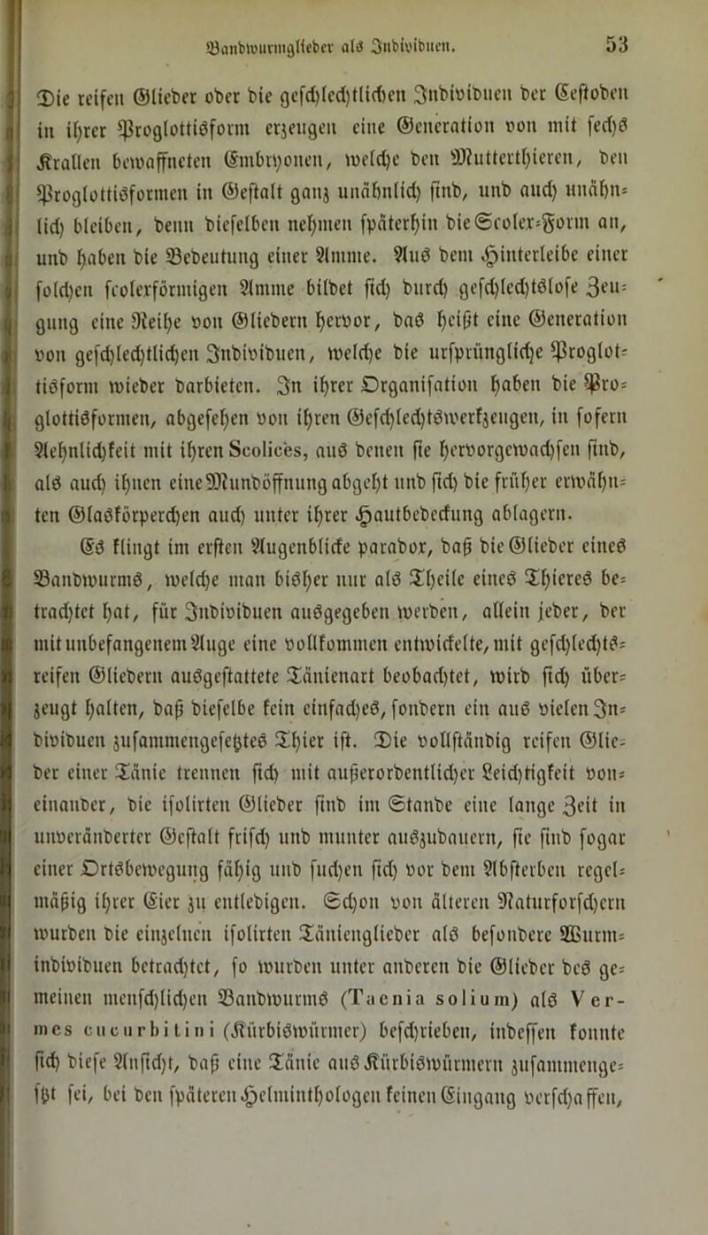 i 3)ie reifen ©lieber ober bie gefd)(ed)tlid)en ^nbiöibueu ber (Seftobeii I in il)rer ^roglottidform erjeiigen eine ©eneration ron mit [ed)ö 1} drallen bemaffneten ©mbn^onen, meldje ben ä)?iittertl)ieren, ben |f ^roglottidformen in ©eftolt gnnj undftnlid) fmb, unb and) Hnnf)n= (id) bleiben, beim biefelben neljmen fpnter^in bieSroIer^gorm an, a unb l;aben bie Sebeutung einer 9lmme. 9luö bem ^iuterleibe einer fo(d)en feolerförmigen 2(mme bilbet ftd) bnrd) gefd)led)tötofe j(|;' gnng eine 9feil)e »on ©Hebern fjeruor, bnd ^ei(it eine ©eneration I von ge[d){ed)tlid)en 3nbioibnen, meldje bie urfprünglidje ^roglot- tiöform mieber barbieten. 3n il)rer Drganifation f)aben bie $ro= glottiöformen, abgefef)en non i^ren ©ef(^(ed)töu'erfjengeu, in fofern 9tef)nlid)feit mit it)ren Scolices, and benen fte f)eroorgemad)fcn ftnb, ald and) i^nen eine9)iunböffnnngabgef)t nnb ftd) bie frnl)er emml)!!» ten ©ladförperd)en and) unter il)rer .^autbebednng ablagern. @d flingt im erfien 9lugenblide parabor, ba^ bie ©lieber eined SBanbmnrmd, meld)e man bidl;er mir ald 2d)eile eined 2l)iered be= trad)tet ^at, für 3ubioibnen andgegeben merben, allein feber, ber mit unbefangenem 9luge eine oollfommen entmidelte,mit gefd)led)td= reifen ©Hebern audgeftattete üdnienart beobad)tet, wirb ftd) über= jengt l)alten, ba^ biefelbe fein einfad)ed, fonbern ein and nieten 3ns binibuen äufaniniengefejjted 3:t)ier ift. 2)ie nollftdnbig reifen ©lies ber einer 2!dnie trennen ftd) mit aufjerorbentlid)er Seid)tigfeit »oiis einmiber, bie ifolirten ©Heber ftnb im @tanbe eine lange 3cH in uiiperänberter ©eftalt frifd) nnb munter audjubaiiern, fte finb fogar einer Drtdbemegung fdl)ig unb fnd)en ftd) nor bem 9lbfterben regeH mä^ig il)rcr ©ier jit entlebigen. Sd)on von älteren 9?aturforfd)ern mürben bie einjelnen ifolirten üanienglieber ald befonberc Sßurms inbivibuen betrad)tct, fo mürben unter anberen bie ©Heber bed ges meinen menfd)lid)en 33anbmurmd (Taenia solium) ald Ver- nies cuciirbitini (Jlürbidmiirmer) befd)rieben, inbeffen fonnte fi(^ biefe 2lnftd)t, bap eine Hänie and itürlidmiirniern jufaninienges fOt fei, bei ben fpäteren3^elmintl)ologen feinen ©ingang uerfd)affen.