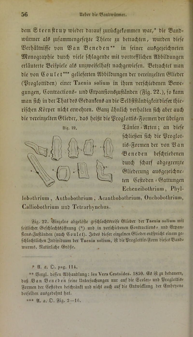 t)cm ©tecnftrup lieber tnvauf jurürfgetommen war/ t)ie 33ant>* Würmer al6 jufammengefc^te !If)ierc ju bctrad)ten, wiirten biefe 33crl)ä(tnif|’e »on 93nn 23cneben’* in [einer auögejeic^neten 9J?onogrn[)^ie bnrrt) r'iele f(t)Iagenbe mit »ortref[üd)en Sibbilbnngen erläuterte Seifpiele ald nnjweifel^aft nad)gewie[en. S3etrad)tet man bie »on S o u l e t *** gelieferten Slbbilbungen ber »ereinjelten ©lieber (iProglottiben) einer Taenia solium in i^ren nerfd)iebenen S3ewe= gungen, ©ontractiond» unb (Sr^anfiondjuftänben (gig.22.), [o fann man ftd) in ber Sf)nt bed ©ebanfend an bie ©elbfiftänbigfeit biefer tl)ie= ri[d)en ilörper nid)t erwel)ren. ©anj ä^nlid) berl;alten aber and) bie »ereinjelten ©lieber, bad f)eipt bie 5ßroglottid=i5ormen ber übrigen lobülhrium, Anlhobolhrium , Acaulliobotlirium, Oncbobolhriuin, Calliobollirium imb Telrarliyncluis. Sig. 2'2. *@injcliie abgelöfie gefebtedbtereife ©licbcv bcc Taeuia sulium mit fi’itlicbcv ®cfd)Ic(bteöffming (*) unb in uerfd)iebcncn 6ontvactioii3s imb (5'Waiu fione=3uftäiibcn (iin^ Soul et). 3ebeö biefet einzelnen ©lieber entfbridjt einem ge= fcljlccbtlicben 3nbi»ibuum ber Taenia solium, ift bicil>rogIt)ttie:S'Jnn biefeßtönnba Wurme. 9tatürlirf)e ©röpe. f 21. a. O. piig. 114. ** S3ergl. bcjfeu 2lbt;anblung: les Vers Cestoides. 1850. @e ijl jn bebauern, bnfj 93an Söenebeli feine Unterfuebungen nur auf bie @colcr= unb Ulroglottie« Sonnen ber ©ejlobcn befd)räntt nnb nid)t and) auf bie Sntwicfinng ber Smbrbcnc berfclben auegebcl)nt bat. *** 21. a. O. Sig. 2 —Ifi. Sig. 22. 5iänien = Slrten; an biefe fd)lieüen ftd) bie ^Jroglot-- tid=govwen t)« bon 93an •33 e neben befd)riebenen burd) fd)arf abgegrenjte ©lieberimg andgeieid)ne- ten Seftoben = ©attungen Echeneibolhriuni, Pliyl-