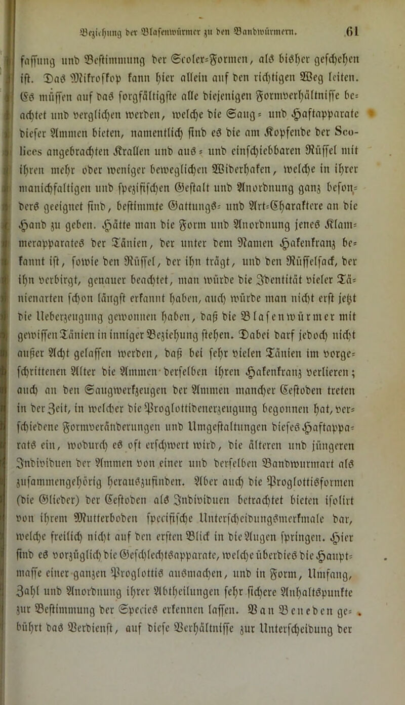 fafyiing mit» 35ortimnmit(j bor <£co(e.r=gormcn, al(5 biöficr gefd)cl)eit ifl. Dnei iOJifroffol) fann ()ier aUcin auf t)cn rid)Hgen 2ßeg leiten. (Sö müffen oiif t>aö forgfdltigfte alle bieienigen gonuucrl;attniffe bc= nrf)tct unb »ergnd)eu werben, weldje bte @aug= unb .^aftnpparate » biefer 9J(mnien bieten, namentlich ftnb ed bie am Äopfenbe ber Sco- liccs angebrad)ten Jtratfen unb and s nnb einfd}iebbaren 9Jiiffel mit if)ren mef)r ober weniger beweglid)en 2Biberf)afen, weldje in ifjrer manid)faltigen nnb [pejifi[d)en ©eftalt nnb Slnorbnnng ganj befotts berd geeignet ftnb, beftimmte ©attnngd: nnb 9(rt=Sharaftere an bie .^anb jn geben, .^ätte man bie gönn unb 9(norbnung fened Jtlain= merapparated ber Ü5nien, ber unter bem 9?amen .^afenfranj be= fannt ift, fowie ben Siiiffel, ber ihn trägt, unb ben 9?nffe(fad, ber ihn oerbirgt, genauer bead)tet, man würbe bie 3bentität oieler Zä- nienarten [d)on (ängft erfannt haben, und) würbe man nid}t erft jeht bie lleberjengnng gewonnen haben, ba^ bie 33lafenWürmer mit gewiffenJänien in inniger ^ejiehung ftehen. Dabei barf jebod) nid?t auf er Sicht gelaffen werben, baf bei fehr »ielen Dänien im oorge= fchrittenen Sllter bie Slmmcifberfelben ifren .^afenfranj oerlieren; and) an ben ©augwerfjeugen ber Stnimen mand)er Sefioben treten in berßeit, in weld)er bie^roglottibenerjengung begonnen hol/Ocr^ fd)iebene gornweränbernngen unb llmgeftaltnngen biefed.^aftappa- ratd ein, woburd) ed oft erfd)Wert wirb, bie älteren unb jüngeren 3nbioibuen ber Slmmen »on einer unb berfelben S3anbwurmart ald jufammengehörig hcrou^äufinben. Slber and) bie jproglottidformen (bie ©lieber) ber Seftoben ald Snbioibuen bctrad)tet bieten ifolirt oon ihrem Wutterboben fpecififd)e lluterfd)eibungdmerfmale bar, weld)c freilid) nid)t auf ben erftenSlid in bieSlugen fpringen. .^ier ftnb ed oorjüglid) bie ©efd)led)tdapparate, weld)e überbied bie .^aupt= maffe einer ganjen ^^roglottid nndmad)en, unb in gönn. Umfang, 3al)l unb Slnorbnung ifrer Slbtheilungen fel)r fid)ere 9lnhaltdpunfte jur 93eftimmung ber @peded erfennen laffen. 93an 33eueben ge» . bül)rt bad 93erbienft, auf biefe SSerhältniffe jur Unterfcheibnng ber