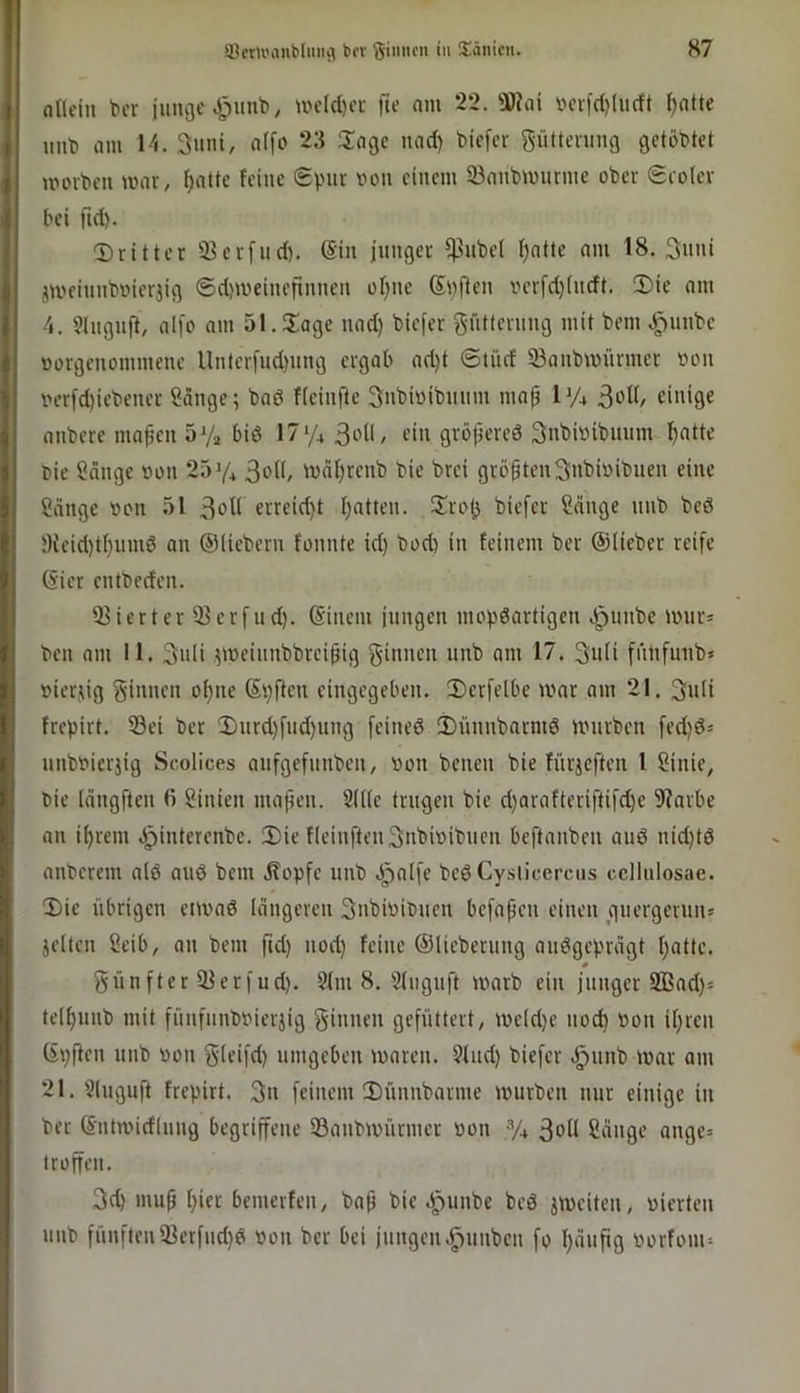 ntlciu t>er junge UH’(d)ei- fte nm 22. 5)?ai vcifd)(iicft ^ntte uuti nm 14. 3uin, n(fo 23 3:ngc und) biefcv pttening getöbtet moibeu mnr, I)nüe feine Spur von einem 93nnbmunnc ober Seolev bei fid). Dritter S^erfnd). @in junger *|3nbei l)ntte nm 18. 3«»t jmeinnboierjig ®d)weinefinnen of)ue Spften rerfd)(ndt. Die nm 4. Slngnfi, nifo nm al.Dnge und) biefer gntternng mit bem .:^unbe oorgenommene Unter[ud)ung ergnb nd)t ©tüd 23nnbn)ürmer ooii i'er[d)iebener Snnge; bnö fieinfte 3ubioibmim mnp PA 3of(/ einige nnbere mn^en 5Vä biö ein gröpercö SnbiBibunm I)ntte bie ?nnge »on 25>4 3ol(, tonI)reub bie brei größten3nbi»ibuen eine ?nnge oon 51 3oU erreid)t I)ntten. Jlrotj biefer Sauge nnb beö 9ieid)tt)umd nn ©liebem fonnte id) bod) in feinem ber ©lieber reife ©ier entbeden. 23ierter 33erfud). ©inem jungen mopdnrtigcn Jpunbe tmirs ben am II. 3nli ?meinnbbrei^ig ginnen nnb am 17. 3u(i fnnfnnb» »ierjig ginnen of)ne ©pften eingegeben. Dcrfelbe wnr nm 21. 3u(i frepirt. Sei ber Dnrd)fnd)iing feineö Dünnbnrmö nnirben fed)ö= nnbnierjig Se.olices nnfgefnnben, »on benen bie fnrjcften 1 Sinie, bie Idngftcn fi Sinien mnfien. 2(((e trugen bie d)arnfteriftifd)c 9?nrbe an i^rem .^interenbe. Die fleiuftengnbioibnen beftnnben and nid)td nnberem nid and bem .Kopfe nnb .§alfc bed Cysticercus cellulosae. Die übrigen eitvnd längeren gubioibnen befnpeu einen gnergernn» jelten Seib, nn bem fid) nod) feine ©liebernng nndgeprngt t)atte. gnnfter SJerfud). 9lm 8. Slugnft warb ein junger 2Bad)= tel^nnb mit fünfnnboieijig ginnen gefüttert, we(d)e nod) non il)ien ©pften nnb non gleifd) umgeben waren. Sind) biefer .i^nnb war am 21. Slngnft frepirt. 3u feinem Dünnbnrme würben nur einige in bet ©ntwidlnng begriffene 58nnbwürmer non % 3^11 Scinge nnge= troffen. 3c^ mu^ f)ier bemevfen, bn^ bie .^uiibe bed jweiten, nierten nnb fünften3?erfnd)d non ber bei jungen.^nnben fo I)dnpg norfom=