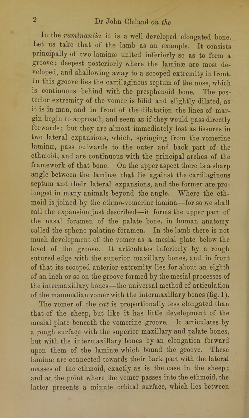 In the ruminantia it is a well-developed elongated bone. Let us take that of the lamb as an example. It consists principally of two laminm united inferiorly so as to form a groove; deepest posteriorly where the laminae are most de- veloped, and shallowing away to a scooped extremity in front. In this groove lies the cartilaginous septum of the nose, which is continuous behind with the presphenoid bone. The pos- terior extremity of the vomer is bifid and slightly dilated, as it is in man, and in front of the dilatation the lines of mar- gin begin to approach, and seem as if they would pass directly forwards; but they are almost immediately lost as fissures in two lateral expansions, which, springing from the vomerine laminae, pass outwards to the outer and back part of the ethmoid, and are continuous with the principal arches of the framework of that bone. On the upper aspect there is a sharp angle between the lamina; that lie against the cartilaginous septum and their lateral expansions, and the former are pro- longed in many animals beyond the angle. Where the eth- moid is joined by the ethmo-vomerine lamina—for so we shall call the expansion just described—it forms the upper part of the nasal foramen of the palate bone, in human anatomy called the spheno-palatine foramen. In the lamb there is not much development of the vomer as a mesial plate below the level of the groove. It articulates inferiorly by a rough sutured edge with the superior maxillary bones, and in front of that its scooped anterior extremity lies for about an eighth of an inch or so on the groove formed by the mesial processes of the intermaxillary bones—the universal method of articulation of the mammalian vomer with the intermaxillary bones (fig. 1). The vomer of the cat is proportionally less elongated than that of the sheep, but like it has little development of the mesial plate beneath the vomerine groove. It articulates by a rough surface with the superior maxillary and palate bones, but with the intermaxillary bones by an elongation forward upon them of the laminae which bound the groove. These laminae are connected towards their back part with the lateral masses of the ethmoid, exactly as is the case in the sheep ; and at the point where the vomer passes into the ethmoid, the latter presents a minute orbital surface, which lies between