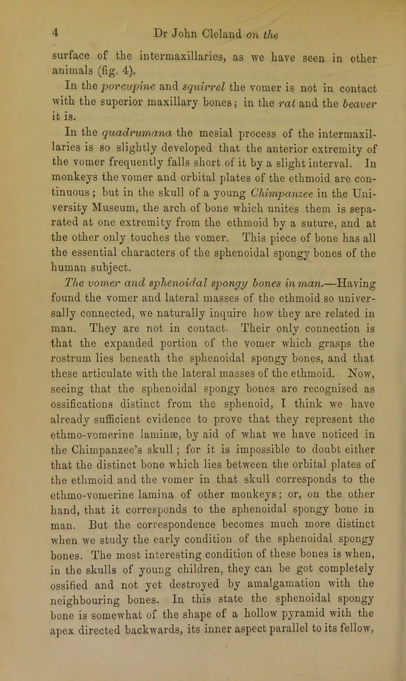 surface of the intermaxillaries, as we have seen in other animals (fig. 4). In the porcupine and squirrel the vomer is not in contact with the superior maxillary bones; in the rat and the heaver it is. In the quadrumana the mesial process of the intermaxil- laries is so slightly developed that the anterior extremity of the vomer frequently falls short of it by a slight interval. In monkeys the vomer and orbital plates of the ethmoid are con- tinuous ; but in the skull of a young Chimpanzee in the Uni- versity Museum, the arch of bone which unites them is sepa- rated at one extremity from the ethmoid by a suture, and at the other only touches the vomer. This piece of bone has all the essential characters of the sphenoidal spongy bones of the human subject. The vomer and sphenoidal spongy hones in man.—Having found the vomer and lateral masses of the ethmoid so univer- sally connected, we naturally inquire how they are related in man. They are not in contact. Their only connection is that the expanded portion of the vomer which grasps the rostrum lies beneath the sphenoidal spongy bones, and that these articulate with the lateral masses of the ethmoid. Now, seeing that the sphenoidal spongy bones are recognised as ossifications distinct from the sphenoid, I think we have already sufficient evidence to prove that they represent the etlirao-vomerine laminae, by aid of what we have noticed in the Chimpanzee’s skull; for it is impossible to doubt either that the distinct bone which lies between the orbital plates of the ethmoid and the vomer in that skull corresponds to the ethmo-vomerine lamina of other monkeys; or, on the other hand, that it corresponds to the sphenoidal spongy bone in man. But the correspondence becomes much more distinct when we study the early condition of the sphenoidal spongy bones. The most interesting condition of these bones is when, in the skulls of young children, they can be got completely ossified and not yet destroyed by amalgamation with the neighbouring bones. In this state the sphenoidal spongy bone is somewhat of the shape of a hollow pyramid with the apex directed backwards, its inner aspect parallel to its fellow,