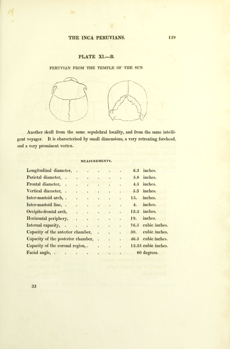 PLATE XI.—B. PERUVIAN FROM THE TEMPLE OF THE SUN Another skull from the same sepulchral locality, and from the same intelli- gent voyager. It is characterised by small dimensions, a very retreating forehead, and a very prominent vertex. MEASUREMENTS. Longitudinal diameter, .... 6.3 inches. Parietal diameter, ..... 5.8 inches. Frontal diameter, ..... 4.5 inches. Vertical diameter, ..... 5.3 inches. Inter-mastoid arch, ..... 15. inches. Inter-mastoid line, ..... 4. inches. Occipito-frontal arch, .... 13.2 inches. Horizontal periphery, .... 19. inches. Internal capacity, ..... 76.5 cubic inches. Capacity of the anterior chamber, 30. cubic inches. Capacity of the posterior chamber, . 46.5 cubic inches. Capacity of the coronal region,. 12.25 cubic inches. Facial angle, ...... . 80 degrees. 33