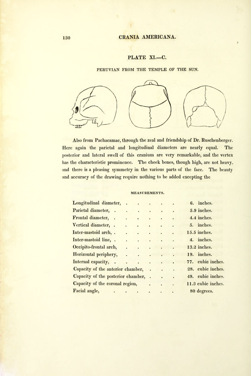 PLATE XI.—C. PERUVIAN FROM THE TEMPLE OF THE SUN. Also from Pachacamac, through the zeal and friendship of Dr. Ruschenberger. Here again the parietal and longitudinal diameters are nearly equal. The posterior and lateral swell of this cranium are very remarkable, and the vertex has the characteristic prominence. The cheek hones, though high, are not heavy, and there is a pleasing symmetry in the various parts of the face. The beauty and accuracy of the drawing require nothing to he added excepting the MEASUREMENTS. Longitudinal diameter, ..... 6. inches. Parietal diameter, ...... 5.9 inches. Frontal diameter, ...... 4.4 inches. Vertical diameter, ...... 5. inches. Inter-mastoid arch, ...... 15.5 inches. Inter-mastoid line, ...... 4. inches. Occipito-frontal arch, ..... 13.2 inches. Horizontal periphery, ..... 19. inches. Internal capacity, ...... 77. cubic inches. Capacity of the anterior chamber, 28. cubic inches. Capacity of the posterior chamber, . 49. cubic inches. Capacity of the coronal region, 11.3 cubic inches.