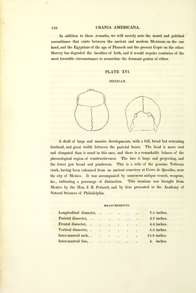 In addition to these remarks, we will merely note the moral and political resemblance that exists between the ancient and modern Mexicans on the one hand, and the Egyptians of the age of Pharaoh and the present Copts on the other. Slavery has degraded the faculties of both, and it would require centuries of the most favorable circumstances to resuscitate the dormant genius of either. PLATE XVI. MEXICAN. A skull of large and massive developments, with a full, broad but retreating forehead, and great width between the parietal bones. The head is more oval and elongated than is usual in this race, and there is a remarkable fulness of the phrenological region of constructiveness. The face is large and projecting, and the lower jaw broad and ponderous. This is a relic of the genuine Toltecan stock, having been exhumed from an ancient cemetery at Cerro de Quesilas, near the city of Mexico. It was accompanied by numerous antique vessels, weapons, &c., indicating a personage of distinction. This cranium was brought from Mexico by the Hon. J. R. Poinsett, and by him presented to the Academy of Natural Sciences of Philadelphia. MEASUREMENTS. Longitudinal diameter, .... Parietal diameter, ..... Frontal diameter, ..... Vertical diameter, ..... Inter-mastoid arch, ..... 7.1 inches. 5.7 inches. 4.4 inches. 5.2 inches. 15.9 inches.