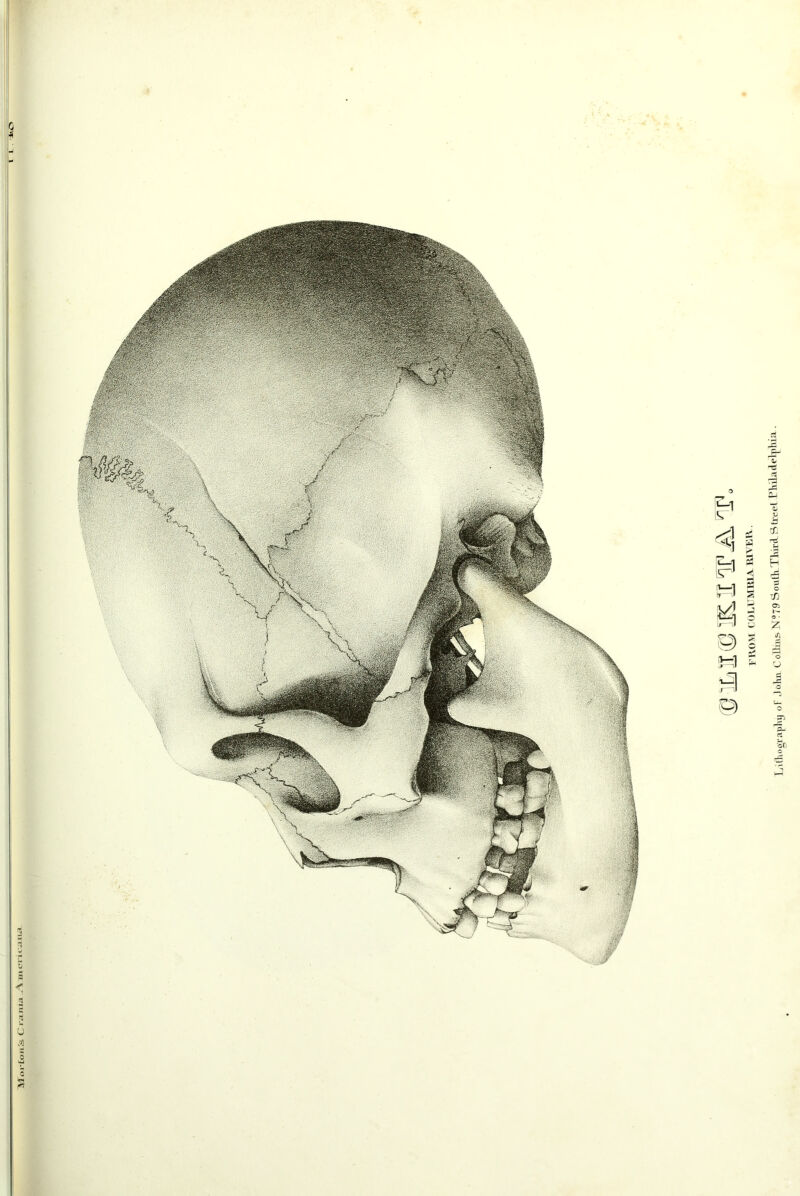 Moi-toji's C rauia A iiicnuiu