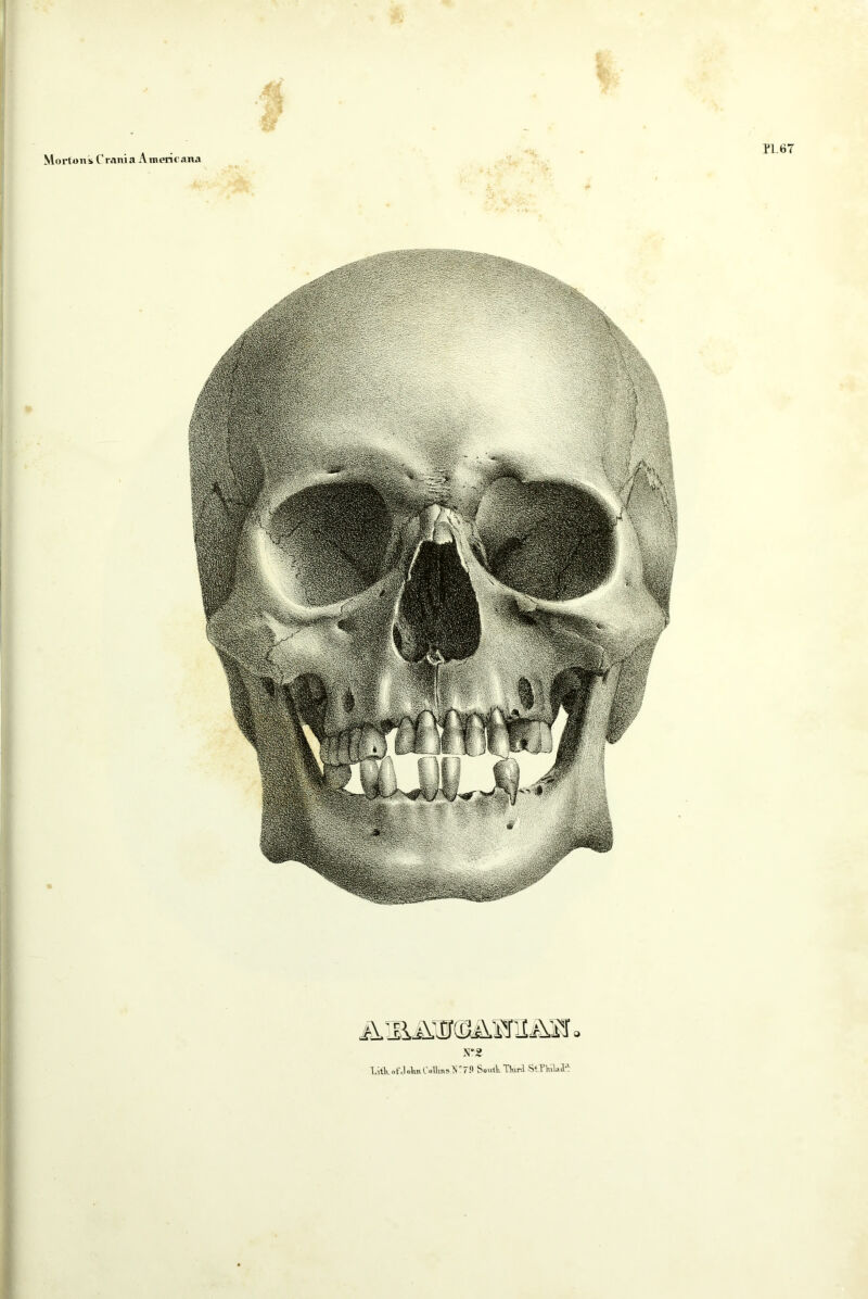 PL67 Morton & C rani a A meric ana N*2 Litk ot'J ohn Collin? ^ ° 7P Soutli Third StTkilal*