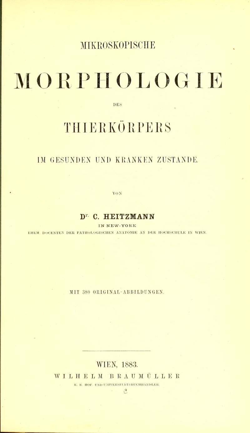 MIKROSKOPISCHE MORPHOLOGIE DES THIERKÖRPERS IM GESUNDEN UND KRANKEN ZUSTANDE. VON D1 C. HEITZMANN IN NEW-YORK EH UM. DOCENTEN DER PATHOLOGISCHEN ANATOMIE AN DER HOCHSCHULE IN WIEN. MIT 380 ORIGINAL-Al]BILDUNGEN. WIEN, 1883. W I L H E L M B R A U M Ü L L E R K. K HOF UND UNIVERSITÄTSBUCIIIIÄNDLEII. t