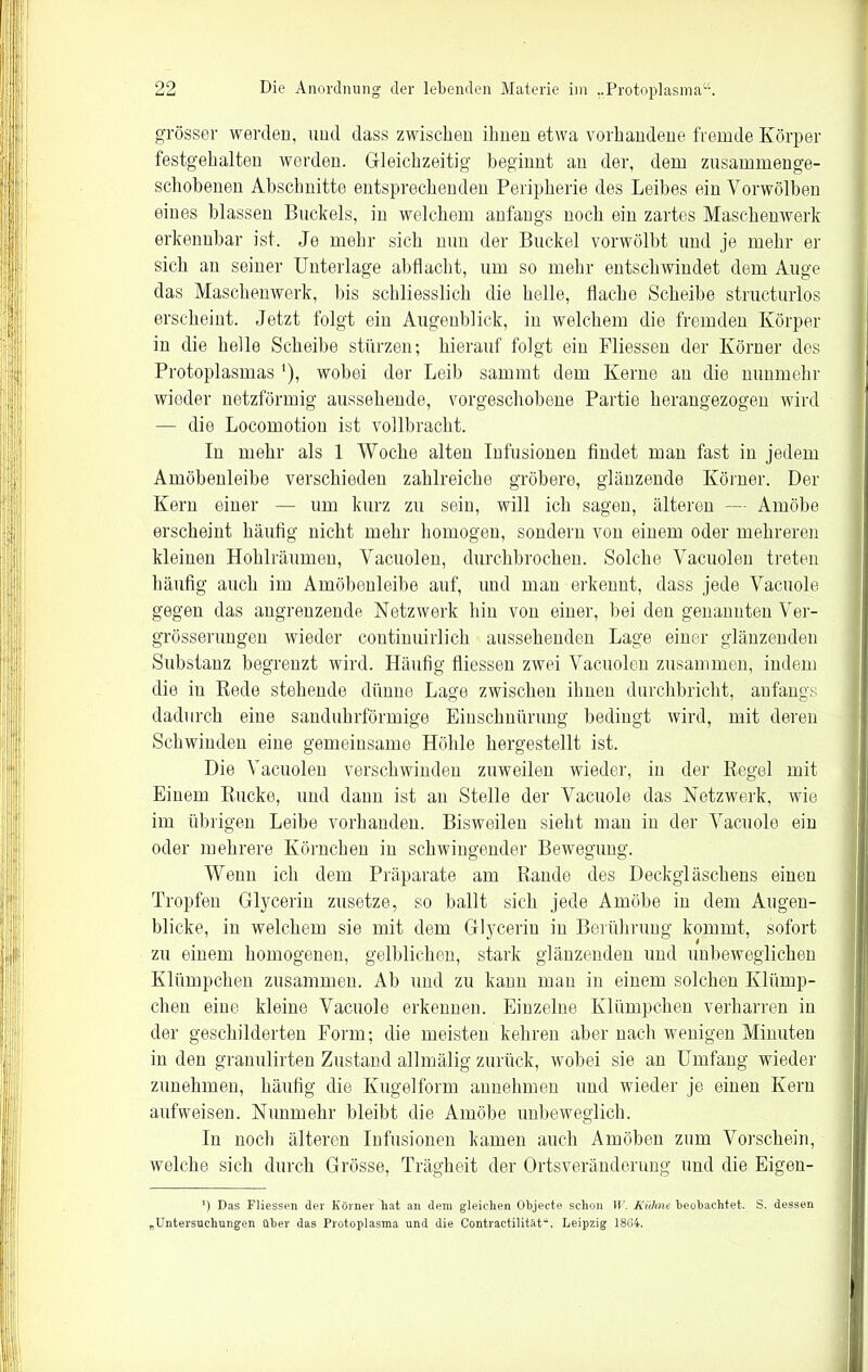 grösser werden, und dass zwischen ihnen etwa vorhandene fremde Körper festgehalten werden. Gleichzeitig beginnt an der, dem zusammenge- schobenen Abschnitte entsprechenden Peripherie des Leibes ein Vorwölben eines blassen Buckels, in welchem anfangs noch ein zartes Maschenwerk erkennbar ist. Je mehr sich mm der Buckel vorwölbt und je mehr er sich an seiner Unterlage abflacht, um so mehr entschwindet dem Auge das Maschenwerk, bis schliesslich die helle, flache Scheibe structurlos erscheint. Jetzt folgt ein Augenblick, in welchem die fremden Körper in die helle Scheibe stürzen; hierauf folgt ein Pliessen der Körner des Protoplasmas ‘), wobei der Leib sammt dem Kerne an die nunmehr wieder netzförmig aussehende, vorgeschobene Partie herangezogen wird — die Locomotion ist vollbracht. In mehr als 1 Woche alten Infusionen findet man fast in jedem Amöbenleibe verschieden zahlreiche gröbere, glänzende Körner. Der Kern einer — um kurz zu sein, will ich sagen, älteren — Amöbe erscheint häufig nicht mehr homogen, sondern von einem oder mehreren kleinen Hohlräumen, Vacuolen, durchbrochen. Solche Vacuolen treten häufig auch im Amöbenleibe auf, und man erkennt, dass jede Vacuole gegen das angrenzende Netzwerk hin von einer, hei den genannten Ver- grösserungen wieder continuirlich aussehenden Lage einer glänzenden Substanz begrenzt wird. Häufig fliessen zwei Vacuolen zusammen, indem die in Rede stehende dünne Lage zwischen ihnen durchbricht, anfangs dadurch eine sanduhrförmige Einschnürung bedingt wird, mit deren Schwinden eine gemeinsame Höhle hergestellt ist. Die Vacuolen verschwinden zuweilen wieder, in der Regel mit Einem Rucke, und dann ist an Stelle der Vacuole das Netzwerk, wie im übrigen Leibe vorhanden. Bisweilen sieht man in der Vacuole ein oder mehrere Körnchen in schwingender Bewegung. Wenn ich dem Präparate am Rande des Deckgläschens einen Tropfen Glycerin zusetze, so ballt sich jede Amöbe in dem Augen- blicke, in welchem sie mit dem Glycerin in Berührung kommt, sofort zu einem homogenen, gelblichen, stark glänzenden und unbeweglichen Klümpchen zusammen. Ab und zu kann man in einem solchen Klümp- chen eine kleine Vacuole erkennen. Einzelne Klümpchen verharren in der geschilderten Form; die meisten kehren aber nach wenigen Minuten in den granulirten Zustand allmälig zurück, wobei sie an Umfang wieder zunehmen, häufig die Kugelform annehmen und wieder je einen Kern aufweisen. Nunmehr bleibt die Amöbe unbeweglich. In noch älteren Infusionen kamen auch Amöben znm Vorschein, welche sich durch Grösse, Trägheit der Ortsveränderung und die Eigen- ’) Das Fliessen der Körner hat an dem gleichen Objecte schon W. Kühne beobachtet. S. dessen „Untersuchungen über das Protoplasma und die Contractilitüt“. Leipzig 1864.