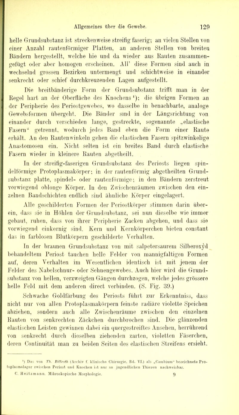 helle Grundsubstanz ist streckenweise streifig faserig; an vielen Stellen von einer Anzahl rautenförmiger Platten, au anderen Stellen von breiten Bändern hergestellt, welche hie und da wieder aus Bauten zusammen- gefügt oder aber homogen erscheinen. All’ diese Formen sind auch in wechselnd grossen Bezirken untermengt und schichtweise in einander senkrecht oder schief durchkreuzenden Lagen aufgestellt. Die breitbänderige Form der Grundsubstanz trifft man in der Regel hart an der Oberfläche des Knochens ’); die übrigen Formen an der Peripherie des Periostgewebes, wo dasselbe in benachbarte, analoge Gewebsformen übergeht. Die Bänder sind in der Längsrichtung von einander durch verschieden lange, gestreckte, sogenannte „elastische Fasern“ getrennt, wodurch jedes Band eben die Form einer Raute erhält. An den Rautenwinkeln gehen die elastischen Fasern spitzwinkelige Anastomosen ein. Nicht selten ist ein breites Band durch elastische Fasern wieder in kleinere Rauten abgetheilt. In der streifig-faserigen Grundsubstanz des Periosts liegen spin- delförmige Protoplasmakörper; in der rautenförmig abgetheilten Grund- substanz platte, spindel- oder rautenförmige; in den Bändern zerstreut vorwiegend oblonge Körper. In den Zwischenräumen zwischen den ein- zelnen Bandschichten endlich sind ähnliche Körper eingelagert. Alle geschilderten Formen der Periostkörper stimmen darin über- ein, dass sie in Höhlen der Grundsubstanz, sei nun dieselbe wie immer gebaut, ruhen, dass von ihrer Peripherie Zacken abgehen, und dass sie vorwiegend einkernig sind. Kern und Kernkörperchen bieten constant das in farblosen Blutkörpern geschilderte Verhalten. In der braunen Grundsubstanz von mit salpetersaurem Silberoxyd behandeltem Periost tauchen helle Felder von mannigfaltigen Formen auf, deren Verhalten im Wesentlichen identisch ist mit jenem der Felder des Nabelschnur- oder Sehnengewebes. Auch hier wird die Grund- substanz von hellen, verzweigten Gängen durchzogen, welche jedes grössere helle Feld mit dem anderen direct verbinden. (S. Fig. 39.) Schwache Goldfärbung des Periosts führt zur Erkenntniss, dass nicht nur von allen Protoplasmakörpern feinste radiäre violette Speichen abziehen, sondern auch alle Zwischenräume zwischen den einzelnen Rauten von senkrechten Zäckchen durchbrochen sind. Die glänzenden elastischen Leisten gewinnen dabei ein quergestreiftes Ansehen, herrührend von senkrecht durch dieselben ziehenden zarten, violetten Fäserchen, deren Continuität man zu beiden Seiten des elastischen Streifens ersieht. ’) Das von Th. Bülroth (Archiv f. klinische Chirurgie. Bd. VI.) als „Cambium“ bezeichnete Pro- toplasmalager zwischen Periost und Knochen ist nur an jugendlichen Thieren nachweisbar. C. Heitzmann. Mikroskopische Morphologie. 9