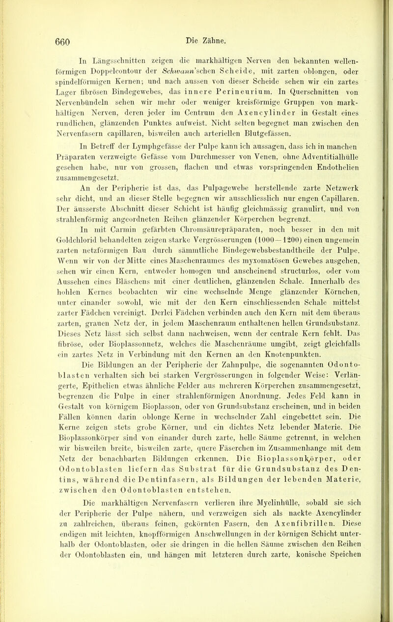 In Längsschnitten zeigen die markhältigen Nerven den bekannten wellen- förmigen Doppelcontour der SeAwarm’sclien Scheide, mit zarten oblongen, oder spindelförmigen Kernen; und nach aussen von dieser Scheide sehen wir ein zartes Lager fibrösen Bindegewebes, das innere Perineurium. In Querschnitten von Nervenbündeln sehen wir mehr oder weniger kreisförmige Gruppen von mark- hältigen Nerven, deren jeder im Centrum den Axencylinder in Gestalt eines rundlichen, glänzenden Punktes aufweist. Nicht selten begegnet man zwischen den Nervenfasern capillaren, bisweilen auch arteriellen Blutgefässen. In Betreff der Lymphgefässe der Pulpe kann ich aussagen, dass ich in manchen Präparaten verzweigte Gefässe vom Durchmesser von Venen, ohne Adventitialhülle gesehen habe, nur von grossen, flachen und etwas vorspringenden Endothelien zusammengesetzt. An der Peripherie ist das, das Pulpagewebe herstellende zarte Netzwerk sehr dicht, und an dieser Stelle begegnen wir ausschliesslich nur engen Capillaren. Der äusserste Abschnitt dieser Schicht ist häufig gleiclimässig granulirt, und von strahlenförmig angeordneten Reihen glänzender Körperchen begrenzt. In mit Carrnin gefärbten Chromsäurepräparaten, noch besser in den mit Goldchlorid behandelten zeigen starke Vergrösserungen (1000—1200) einen ungemein zarten netzförmigen Bau durch sämintliche Bindegewebsbestandtheile der Pulpe. Wenn wir von der Mitte eines Maschenraumes des myxomatösen Gewebesausgehen, sehen wir einen Kern, entweder homogen und anscheinend structurlos, oder vom Aussehen eines Bläschens mit einer deutlichen, glänzenden Schale. Innerhalb des hohlen Kernes beobachten wir eine wechselnde Menge glänzender Körnchen, unter einander sowohl, wie mit der den Kern einscliliessenden Schale mittelst zarter Fädclien vereinigt. Derlei Fädchen verbinden auch den Kern mit dem überaus zarten, grauen Netz der, in jedem Maschenraum enthaltenen hellen Grundsubstanz. Dieses Netz lässt sich seihst dann nachweisen, wenn der centrale Kern fehlt. Das fibröse, oder Bioplassonnetz, welches die Maschenräume umgibt, zeigt gleichfalls ein zartes Netz in Verbindung mit den Kernen an den Knotenpunkten. Die Bildungen an der Peripherie der Zahnpulpe, die sogenannten Odonto- blasten verhalten sich bei starken Vergrösserungen in folgender Weise: Verlän- gerte, Epithelien etwas ähnliche Felder aus mehreren Körperchen zusammengesetzt, begrenzen die Pulpe in einer strahlenförmigen Anordnung. Jedes Feld kann in Gestalt von körnigem Bioplasson, oder von Grundsubstanz erscheinen, und in beiden Fällen können darin oblonge Kerne in wechselnder Zahl eingebettet sein. Die Kerne zeigen stets grobe Körner, und ein dichtes Netz lebender Materie. Die Bioplassonkörper sind von einander durch zarte, helle Säume getrennt, in welchen wir bisweilen breite, bisweilen zarte, quere Fäserchen im Zusammenhänge mit dem Netz der benachbarten Bildungen erkennen. Die Bioplassonk/Srper, oder Odontoblasten liefern das Substrat für die Grundsubstanz des Den- tins, während die Dentinfasern, als Bildungen der lebenden Materie, zwischen den Odontoblasten entstehen. Die markhältigen Nervenfasern verlieren ihre Myelinhülle, sobald sie sich der Peripherie der Pulpe nähern, und verzweigen sich als nackte Axencylinder zu zahlreichen, überaus feinen, gekörnten Fasern, den Axenfibrillen. Diese endigen mit leichten, knopfförmigen Anschwellungen in der körnigen Schicht unter- halb der Odontoblasten, oder sie dringen in die hellen Säume zwischen den Reihen der Odontoblasten ein, und hängen mit letzteren durch zarte, konische Speichen