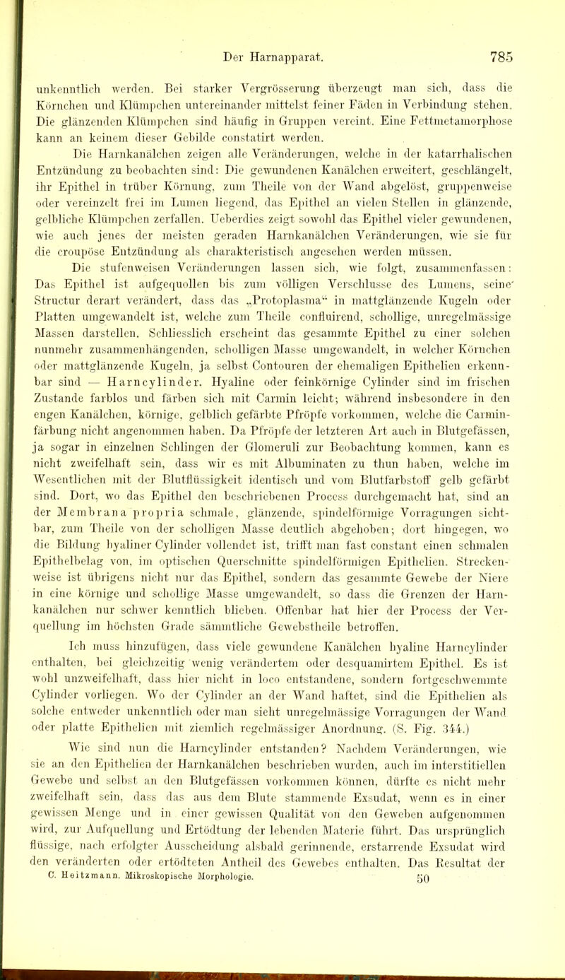 unkenntlich werden. Bei starker Vergrösserung überzeugt man sich, dass die Körnchen und Klümpchen untereinander mittelst feiner Fäden in Verbindung stehen. Die glänzenden Klümpchen sind häufig in Gruppen vereint. Eine Fettmetamorphose kann an keinem dieser Gebilde constatirt werden. Die Harnkanälchen zeigen alle Veränderungen, welche in der katarrhalischen Entzündung zu beobachten sind: Die gewundenen Kanälchen erweitert, geschlängelt, ihr Epithel in trüber Körnung, zum Theile von der Wand abgelöst, gruppenweise oder vereinzelt frei im Lumen liegend, das Epithel an vielen Stellen in glänzende, gelbliche Klümpchen zerfallen. Ueberdies zeigt sowohl das Epithel vieler gewundenen, wie auch jenes der meisten geraden Harnkanälchen Veränderungen, wie sie für die croupöse Entzündung als charakteristisch angesehen werden müssen. Die stufenweisen Veränderungen lassen sich, wie folgt, zusammenfassen: Das Epithel ist aufgequollen bis zum völligen Verschlüsse des Lumens, seine' Structur derart verändert, dass das „Protoplasma“ in mattglänzende Kugeln oder Platten umgewandelt ist, welche zum Theile confluirend, schollige, unregelmässige Massen darstellen. Schliesslich erscheint das gesammte Epithel zu einer solchen nunmehr zusammenhängenden, scholligen Masse umgewandelt, in welcher Körnchen oder mattglänzende Kugeln, ja selbst Contouren der ehemaligen Epithelien erkenn- bar sind — Harncylinder. Hyaline oder feinkörnige Cylinder sind im frischen Zustande farblos und färben sich mit Carmin leicht; während insbesondere in den engen Kanälchen, körnige, gelblich gefärbte Pfropfe Vorkommen, welche die Carmin- färbung nicht angenommen haben. Da Pfropfe der letzteren Art auch in Blutgefässen, ja sogar in einzelnen Schlingen der Glomeruli zur Beobachtung kommen, kann es nicht zweifelhaft sein, dass wir es mit Albuminaten zu thun haben, welche im Wesentlichen mit der Blutflüssigkeit identisch und vom Blutfarbstoff gelb gefärbt sind. Dort, wo das Epithel den beschriebenen Process durchgemacht hat, sind an der Membrana propria schmale, glänzende, spindelförmige Vorragungen sicht- bar, zum Theile von der scholligen Masse deutlich abgehoben; dort hingegen, wo die Bildung hyaliner Cylinder vollendet ist, trifft man fast constant einen schmalen Epithelbelag von, im optischen Querschnitte spindelförmigen Epithelien. Strecken- weise ist übrigens nicht nur das Epithel, sondern das gesammte Gewebe der Niere in eine körnige und schollige Masse umgewandelt, so dass die Grenzen der Harn- kanälchen nur schwer kenntlich blieben. Offenbar hat hier der Process der Ver- quellung im höchsten Grade sämmtliche Gewebstheile betroffen. Ich muss hinzufügen, dass viele gewundene Kanälchen hyaline Harncylinder enthalten, bei gleichzeitig wenig verändertem oder desquamirtem Epithel. Es ist wohl unzweifelhaft, dass hier nicht in loco entstandene, sondern fortgeschwemmte Cylinder vorliegen. Wo der Cylinder an der Wand haftet, sind die Epithelien als solche entweder unkenntlich oder man sieht unregelmässige Vorragungen der Wand oder platte Epithelien mit ziemlich regelmässiger Anordnung. (S. Fig. 344.) Wie sind nun die Harncylinder entstanden? Nachdem Veränderungen, wie sie an den Epithelien der Harnkanälchen beschrieben wurden, auch im interstitiellen Gewebe und selbst an den Blutgefässen Vorkommen können, dürfte es nicht mehr zweifelhaft sein, dass das aus dem Blute stammende Exsudat, wenn es in einer gewissen Menge und in einer gewissen Qualität von den Geweben aufgenommen wird, zur Aufquellung und Ertödtung der lebenden Materie führt. Das ursprünglich flüssige, nach erfolgter Ausscheidung alsbald gerinnende, erstarrende Exsudat wird den veränderten oder ertödteten Antheil des Gewebes enthalten. Das Resultat der C. Heitzmann. Mikroskopische Morphologie. tjQ