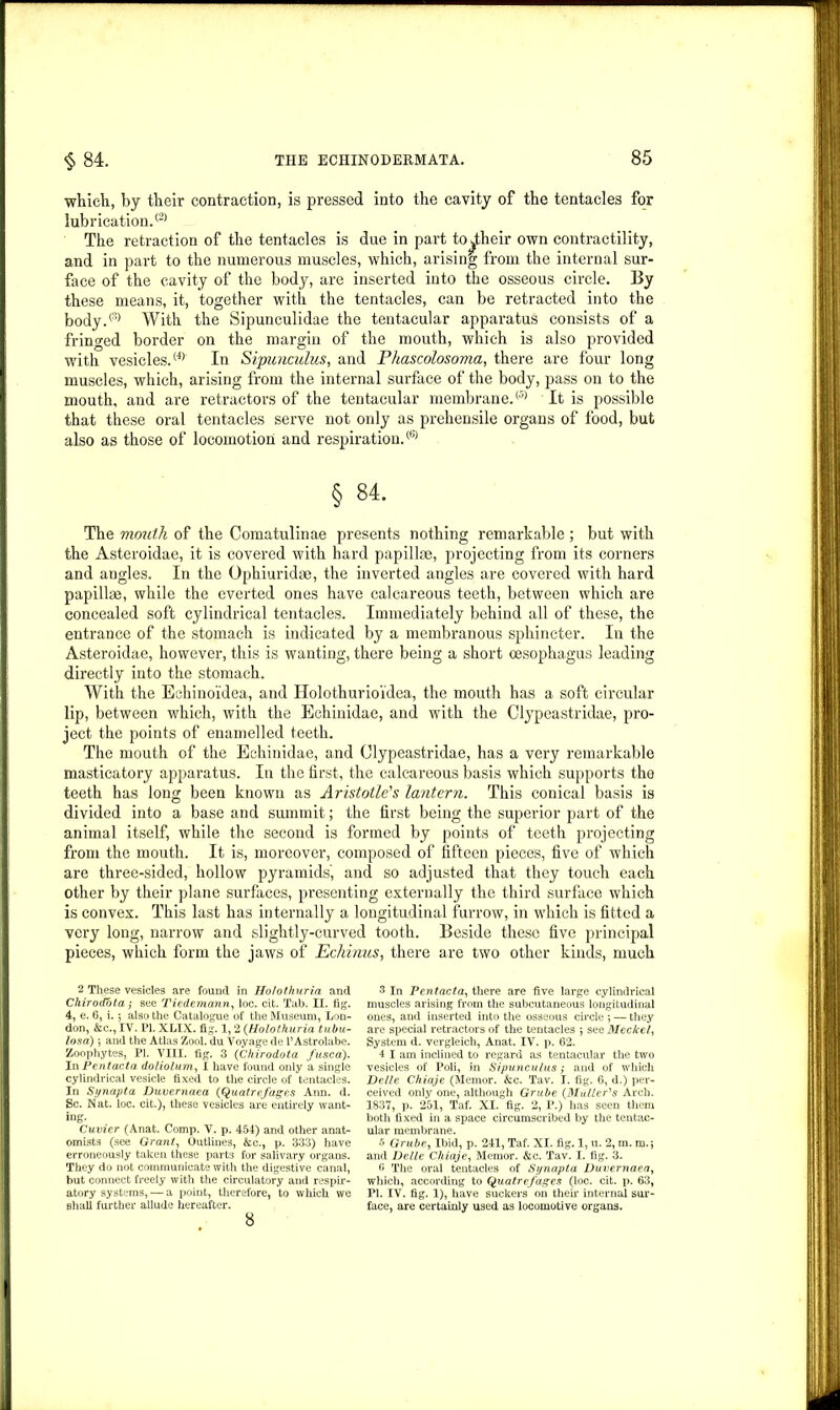 which, by their contraction, is pressed into the cavity of the tentacles for lubrication/2' The retraction of the tentacles is due in part toiheir own contractility, and in part to the numerous muscles, which, arising from the internal sur- face of the cavity of the body, are inserted into the osseous circle. By these means, it, together with the tentacles, can be retracted into the body/3' With the Sipunculidae the tentacular apparatus consists of a fringed border on the margin of the mouth, which is also provided with vesicles/4’ In Sipunculus, and Phascolosoma, there are four long muscles, which, arising from the internal surface of the body, pass on to the mouth, and are retractors of the tentacular membrane/5' It is possible that these oral tentacles serve not only as prehensile organs of food, but also as those of locomotion and respiration/61 § 84. The mouth of the Comatulinae presents nothing remarkable ; but with the Asteroidae, it is covered with hard papillae, projecting from its corners and angles. In the Ophiuridae, the inverted angles are covered with hard papillae, while the everted ones have calcareous teeth, between which are concealed soft cylindrical tentacles. Immediately behind all of these, the entrance of the stomach is indicated by a membranous sphincter. In the Asteroidae, however, this is wanting, there being a short oesophagus leading directly into the stomach. With the Echinoidea, and Holothurioi’dea, the mouth has a soft circular lip, between which, with the Echinidae, and with the Clypeastridae, pro- ject the points of enamelled teeth. The mouth of the Echinidae, and Clypeastridae, has a very remarkable masticatory apparatus. In the first, the calcareous basis which supports the teeth has long been known as Aristotle's lantern. This conical basis is divided into a base and summit; the first being the superior part of the animal itself, while the second is formed by points of teeth projecting from the mouth. It is, moreover, composed of fifteen pieces, five of which are three-sided, hollow pyramids, and so adjusted that they touch each other by their plane surfaces, presenting externally the third surface which is convex. This last has internally a longitudinal furrow, in which is fitted a very long, narrow and slightly-curved tooth. Beside these five principal pieces, which form the jaws of Echinus, there are two other kinds, much 2 These vesicles are found in Ho/othuria and Chiroddta; see Tiedemann, loc. cit. Tab. II. fig. 4, e. 6, i. ; also the Catalogue of the Museum, Lon- don, &c., IV. Id. XLIX. fig. 1, 2 (Holothuria tubu- losa) •, and the Atlas Zool. du Voyage de 1’Astrolabe. Zoophytes, PI. VIII. fig. 3 (Chirodota fusca). In Pentacta doliolum, I have found only a single cylindrical vesicle fixed to the circle of tentacles. In Synapta Duvernaea (Quatrefages Ann. d. Sc. Nat. loc. cit.), these vesicles are entirely want- ing. Cuvier (Anat. Comp. V. p. 454) and other anat- omists (see Grant, Outlines, &c., p. 333) have erroneously taken these parts for salivary organs. They do not communicate with the digestive canal, but connect freely with the circulatory and respir- atory systems, — a point, therefore, to which we shall further allude hereafter. s 3 In Pentacta, there are five large cylindrical muscles arising from the subcutaneous longitudinal ones, and inserted into the osseous circle *, — they are special retractors of the tentacles ; see Meckel, System d. vergleich, Anat. IV. p. 62. 4 I am inclined to regard as tentacular the two vesicles of Poli, in Sipunculus; and of which Delle Chiaje (Memor. &c. Tav. I. fig. 6, d.) per- ceived only one, although Grube (Muller's Arch. 1837, p. 251, Taf. XI. fig. 2, P.) has seen them both fixed in a space circumscribed by the tentac- ular membrane. 5 Grube, Ibid, p. 241, Taf. XI. fig. 1, u. 2, m. m.j and Delle Chiaje, Memor. &c. Tav. I. fig. 3. <> The oral tentacles of Synapta Duvernaea, which, according to Quatrefages (loc. cit. p. 63, PI. IV. fig. 1), have suckers on their internal sur- face, are certainly used as locomotive organs.