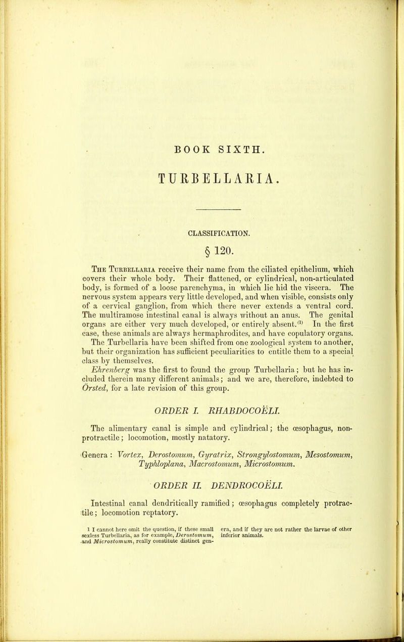 BOOK SIXTH. TUO ELL AM A. CLASSIFICATION. §120. The Turbellaria receive their name from the ciliated epithelium, which covers their whole body. Their flattened, or cylindrical, non-articulated body, is formed of a loose parenchyma, in which lie hid the viscera. The nervous system appears very little developed, and when visible, consists only of a cervical ganglion, from which there never extends a ventral cord. The multiramose intestinal canal is always without an anus. The genital organs are either very much developed, or entirely absent.® In the first case, these animals are always hermaphrodites, and have copulatory organs. The Turbellaria have been shifted from one zoological system to another, but their organization has sufficient peculiarities to entitle them to a special class by themselves. Ehrenberg was the first to found the group Turbellaria; but he has in- cluded therein many different animals; and we are, therefore, indebted to Orsted, for a late revision of this group. ORDER I. RHABDOCOELI. The alimentary canal is simple and cylindrical; the oesophagus, non- protractile; locomotion, mostly natatory. Genera : Vortex, Derostomum, Gyratrix, Strongylostomum, Mesostomum, Typhloplana, Macrostomuvi, Microstomum. ORDER II. DENDROCOELI. Intestinal canal dendritically ramified; oesophagus completely protrac- tile ; locomotion reptatory. 1 I cannot here omit the question, if these small era, and if they are not rather the larvae of other sexless Turbellaria, as for example, Derostomum, inferior animals. •and Microstomum, really constitute distinct gen-