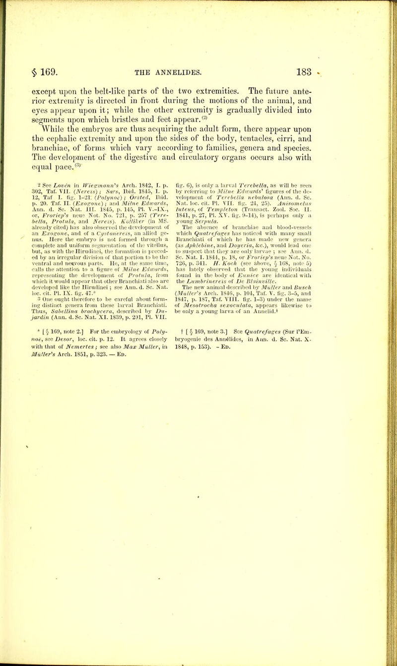 except upon the belt-like parts of the two extremities. The future ante- rior extremity is directed in front during the motions of the animal, and eyes appear upon it; while the other extremity is gradually divided into segments upon which bristles and feet appear.® While the embryos are thus acquiring the adult form, there appear upon the cephalic extremity and upon the sides of the body, tentacles, cirri, and branchiae, of forms which vary according to families, genera and species. The development of the digestive and circulatory organs occurs also with equal pace,®' 2 See Lovdn in Wiesmann's Arch. 1842, I. p. 302, Taf. VII. (Nereis); Sars, Ibid. 1845, I. p. 12, Taf I. fig. 1-21. (Polynoe); Orsted, Ibid, p. 20. Taf. II. (Exogone); and Milne Edwards, Ann. d. Sc. Nat. ill. 1845, p. 145, PI. V.-IX., or, Froricp's neue Not. No. 721, p. 257 (Tere- belia, Protula, and Nereis). Kblliker (in MS. already cited) has also observed the development of an Exogone, and of a Cyst onere is, an allied ge- nus. Here the embryo is not formed through a complete and uniform segmentation of the vitellus, but, as with the Ilirudinei, the formation is preced- ed by an irregular division of that portion to be the ventral and nervous parts. lie, at the same time, calls the attention to a figure of Milne Edwards, representing the development of Protula, from which it would appear that other Branchiati also are developed like the Ilirudinei; see Ann. d. Sc. Nat. loc. cit. PI. IX. fig. 47.* 3 One ought therefore to be careful about form- ing distinct genera from these larval Branchiati. Thus, Sabellina brachycera, described by Du- jardin (Ann. d. Sc. Nat. XI. 1839, p. 291, PI. VII. * [ § 169, note 2.] For the embryology of Poly- noa, see Desor, loc. cit. p. 12. It agrees closely with that of Nemeries; see also Max Muller, in Muller's Arch. 1851, p. 323. — Ed. fig. 6), is only a larval Terebella, as will be seen by referring to Milne Edwards' figures of the de- velopment of Terebella nebulosa (Ann. d. Sc. Nat. loc. cit. PI. VII. fig. 24, 25). Anisomelus luteus, of Templeton (Transact. Zool. Soc. II. 1841, p. 27, PI. XV. fig. 9-14), is perhaps only a young Serpula. The absence of branchiae and blood-vessels which Qu at ref ages has noticed with many small Branchiati of which he has made new genera (as Aphlebine, and Doyeria, &c.), would lead one to suspect that they are only larvae ; see Ann. d. Sc. Nat. 1.1844, p. 18, or Froriep's neue Not. No. 726, p. 341. H. Koch (see (ibove, § 168, note 5) has lately observed that the young individuals found in the body of Eunice are identical with the Lumbrinereis of De Blainville. The new animal described bv Muller and Busch (Miiller's Arch. 1846, p. 104, Taf. V. fig. 3-5, and 1847, p. 187, Taf. VIII. fig. 1-3) under the name of Mesotrocha sexoculata, appears likewise to be only a young larva of an Annelid. + f [ § 169, note 3.] See Quatrefagcs (Sur l’Em- bryogenie des Ann61ides, in Aim. d. Sc. Nat. X- 1848, p. 153). - Ed.