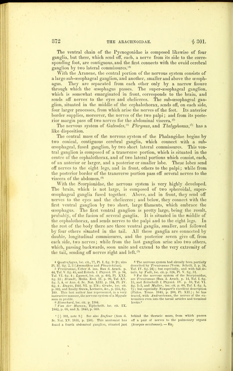 The ventral chain of the Pycnogonidae is composed likewise of four ganglia, but these, which send off, each, a nerve from its side to the corre- sponding foot, are contiguous, and the first connects with the ovoid cerebral ganglion by two lateral commissures.<4> With the Araneae, the central portion of the nervous system consists of a large sub-oesophageal ganglion, and another, smaller and above the oesoph- agus. They are separated from each other only by a narrow fissure through which the oesophagus passes. The super-oesophageal ganglion, which is somewhat emarginated in front, corresponds to the brain, and sends off nerves to the eyes and cheliceres. The sub-cesophageal gan- glion, situated in the middle of the cephalothorax, sends off’, on each side, four larger processes, from which arise the nerves of the feet. Its anterior border supplies, moreover, the nerves of the two palpi; and from its poste- rior margin pass off two nerves for the abdominal viscera.® The nervous system of Galeodes,{U) Phrynus, and Thelyphonus,{7) has a like disposition. The central mass of the nervous system of the Phalangidae begins by two conical, contiguous cerebral ganglia, which connect with a sub- cesophageal, fused ganglion, by two short lateral commissures. This ven- tral ganglion is composed of a transverse portion, which is situated in the centre of the cephalothorax, and of two lateral portions which consist, each, of an anterior or larger, and a posterior or smaller lobe. These lobes send off nerves to the eight legs, and in front, others to the palpi; while from the posterior border of the transverse portion pass off several nerves to the viscera of the abdomen.® With the Scorpionidae, the nervous system is very highly developed. The brain, which is not large, is composed of two spheroidal, super- oesophageal ganglia fused together. Above, and in front, they send off nerves to the eyes and the cheliceres; and below, they connect with the first ventral ganglion by two short, large filaments, which embrace the oesophagus. The first ventral ganglion is pretty large, being the result, probably, of the fusion of several ganglia. It is situated in the middle of the cephalothorax, and sends nerves to the palpi and to the eight legs. In the rest of the body there are three ventral ganglia, smaller, and followed by four others situated in the tail. All these ganglia are connected by double, longitudinal commissures, and the posterior seven give off, from each side, two nerves; while from the last ganglion arise also two others, which, passing backwards, soon unite and extend to the very extremity of the tail, sending oil' nerves right and left.® 4 Quatrefages, loc. cit., 77, PI. I. fig. la 2'; also PI. IL. fig. 2, 3 (Ammothea and Phoxichilus). 5 Treviranus, Ueber d. inn. Bau d. Arach. p. 44, Taf. Y. fig. 45, and Zeitsch. f. Physiol. IV. p. 94, Taf. VI. fig. 4 5 Lyonet, loc. cit. p. 405, PI. XXI. fig. 22 *, Brandt, Mediz. Zool. II. p. 90, Taf. XV. fig. 3, 4, or Ann. d. Sc. Nat. XIII. p. 184, PI. IV. fig. 4. Dug&s, Ibid. VI. p. 174 ; Grube, loc. cit. p. 302, and finally Owen, Lectures, &c., p. 255, fig. 109. This last author has represented, in a very, instructive manner, the nervous system of a My gale seen in profile. 6 Blanchard, loc. cit. p. 1384. 7 Van der Hoeven, Tijdschrift. loc. cit. IX. 1842, p. 68, and X. 1843, p. 369. * [ § 301, note 9.] See also Du four (Ann d. Sc. Nat. XV. 1851, p. 250). This anatomist has found a fourth abdominal ganglion, situated just 8 The nervous system had already been partially described by Treviranus (Verm. Schrift. I. p. 38, Taf. IV. fig. 24) *, but especially, and with full de- tails, by Talk, loc. cit. p. 324, PI. V. fig. 31. 9 For the nervous system of the Scorpionidae, see Treviranus (Bau. d. Arach. p. 14, Taf. I. fig. 13, and Zeitschrift f. Physiol. IV. p. 89, Taf. VI. fig. 1-3, and Muller, loc. cit. p. 60, Taf. I. fig. 5, 7) *, but especially Newport's excellent description (Philos. Trans. 1843, p. 260, PI. XII.) ; he has traced, with Androctonus, the nerves of the ex- tremities even into the tarsal articles and terminal hooks.* behind the thoracic mass, from which passes off a pair of nerves to the pulmonary organs (Scorpio occitanus). — Ed_.