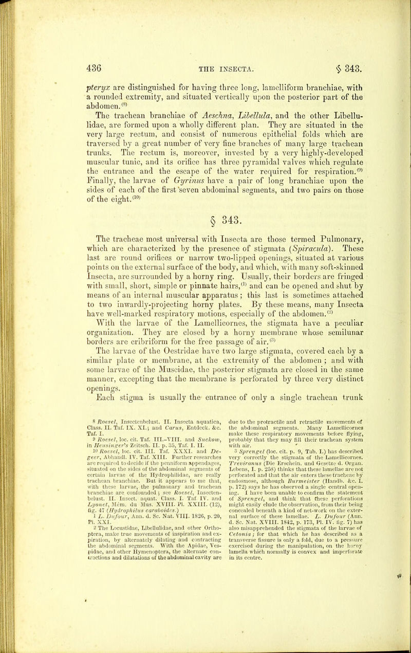 ptenyx are distinguished for having three long, lamelliform branchiae, with a rounded extremity, and situated vertically upon the posterior part of the abdomen.® The trachean branchiae of Aeschna, Libellula, and the other Libellu- lidae, are formed upon a wholly different plan. They are situated in the very large rectum, and consist of numerous epithelial folds which are traversed by a great number of very fine branches of many large trachean trunks. The rectum is, moreover, invested by a very highly-developed muscular tunic, and its orifice has three pyramidal valves which regulate the entrance and the escape of the water required for respiration.® Finally, the larvae of Gyrinus have a pair of long branchiae upon the sides of each of the first 'seven abdominal segments, and two pairs on those of the eight.8 9 (10) § 343. The tracheae most universal with Insecta are those termed Pulmonary, which are characterized by the presence of stigmata (Spiracula). These last are round orifices or narrow two-lipped openings, situated at various points on the external surface of the body, and which, with many soft-skinned Insecta, are surrounded by a horny ring. Usually, their borders are fringed with small, short, simple or pinnate hairs,® and can be opened and shut by means of an internal muscular apparatus; this last is sometimes attached to two inwardly-projecting horny plates. By these means, many Insecta have well-marked respiratory motions, especially of the abdomen.® With the larvae of the Lamellicornes, the stigmata have a peculiar organization. They are closed by a horny membrane whose semilunar borders are cribriform for the free passage of air.® The larvae of the Oestridae have two large stigmata, covered each by a similar plate or membrane, at the extremity of the abdomen ; and with some larvae of the Muscidae, the posterior stigmata are closed in the same manner, excepting that the membrane is perforated by three very distinct openings. Each stigma is usually the entrance of only a single trachean trunk 8 Roesel, Insectenbelust. II. Insecta aquatica, Class. II. Taf. IX. XI.} and Carus, Entdeck. &c. Taf. I. 9 Roesel, loc. cit. Taf. III.-YIII. and Suckow, in Fie us Inzer's Zeitsch. II. p. 35, Taf. I. II. 10 Roesel, loc. cit. III. Taf. XXXI. and De- geer, Abhandl. IV. Taf. XIII. Farther researches are required to decide if the penniform appendages, situated on the sides of the abdominal segments of certain larvae of the Hydrophilidae, are really trachean. branchiae. But it appears to me that, with these larvae, the pulmonary and trachean branchiae are confounded 5 see Roesel, Insecten- belust. II. Insect, aquat. Class. I. Taf. IV. and Lyonet, Mem. du Mus. XVIII. PI. XXIII. (12), fig. 47 (Hydrophilus caraboides.) 1 L. Dufour, Ann. d. Sc. Nat. VIIJ. 1826, p. 20, PI. XXI. 2 The Locustidae, Libellulidae, and other Ortho- ptera, make true movements of inspiration and ex- piration, by alternately dilating and contracting the abdominal segments. With the Apidae, Ves- pidae, and other llymenoptera, the alternate con- li-actions and dilatations of the abdominal cavity are due to the protractile and retractile movements of the abdominal segments. Many Lamellicornes make these respiratory movements before flying, probably that they may fill their trachean system with air. r 3 Sprengel (loc. cit. p. 9, Tab. I.) has described very correctly the stigmata of the Lamellicornes. Treviranus (Die Erschein. und Gesetze d. Organ. Lebens, I. p. 258) thinks that these lamellae are not perforated and that the air enters these tracheae by endosmose, although Burmeister (Handb. &c. I. p. 172) says he has observed a single central open- ing. £ have been unable to confirm the statement of Sprengel, and think that these perforations might easily elude the observation, from their being concealed beneath a kind of net-work on the exter- nal surface of these lamellae. L. Dufour (Ann. d. Sc. Nat. XVIII. 1842, p. 173, PI. IV*. fig. 7) has also misapprehended the stigmata of the larvae of Cetonia; for that which he has described as a transverse fissure is only a fold, due to a pressure exercised during the manipulation, on the horny lamella which normally is convex and imperforate in its centre.