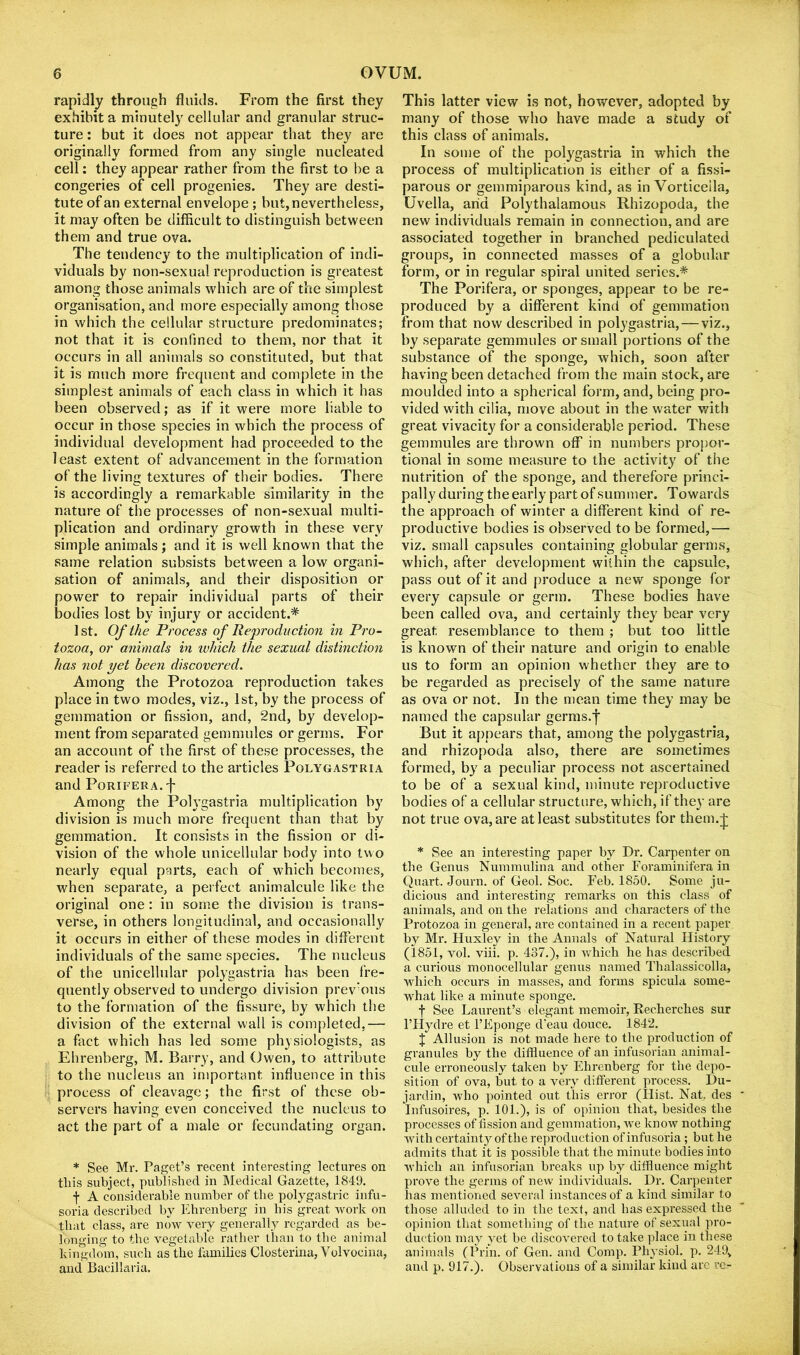 rapidly through fluids. From the first they exhibit a minutely cellular and granular struc- ture : but it does not appear that they are originally formed from any single nucleated cell: they appear rather from the first to be a congeries of cell progenies. They are desti- tute of an external envelope ; but, nevertheless, it may often be difficult to distinguish between them and true ova. The tendency to the multiplication of indi- viduals by non-sexual reproduction is greatest among those animals which are of the simplest organisation, and more especially among those in which the cellular structure predominates; not that it is confined to them, nor that it occurs in all animals so constituted, but that it is much more frequent and complete in the simplest animals of each class in which it has been observed; as if it were more liable to occur in those species in which the process of individual development had proceeded to the least extent of advancement in the formation of the living textures of their bodies. There is accordingly a remarkable similarity in the nature of the processes of non-sexual multi- plication and ordinary growth in these very simple animals; and it is well known that the same relation subsists between a low organi- sation of animals, and their disposition or power to repair individual parts of their bodies lost by injury or accident.* 1st. Of the Process of Reproduction in Pro- tozoa, or animals in ivhich the sexual distinction has not yet been discovered. Among the Protozoa reproduction takes place in two modes, viz., 1st, by the process of gemmation or fission, and, 2nd, by develop- ment from separated gemmules or germs. For an account of the first of these processes, the reader is referred to the articles Polygastria and PoRiFERA. f Among the Polygastria multiplication by division is much more frequent than that by gemmation. It consists in the fission or di- vision of the whole unicellular body into two nearly equal parts, each of which becomes, when separate, a perfect animalcule like the original one: in some the division is trans- verse, in others longitudinal, and occasionally it occurs in either of these modes in different individuals of the same species. The nucleus of the unicellular polygastria has been fre- quently observed to undergo division prev’ous to the formation of the fissure, by which the division of the external wall is completed,— a fact which has led some physiologists, as Ehrenberg, M. Barry, and Owen, to attribute to the nucleus an important influence in this process of cleavage; the first of these ob- servers having even conceived the nucleus to act the part of a male or fecundating organ. * See Mr. Paget’s recent interesting lectures on this subject, published in Medical Gazette, 1849. f A considerable number of the polygastric infu- soria described by Ehrenberg in bis great Avork on that class, are mnv very generally regarded as be- longing to the vegetable rather than to the animal kingdom, such as the families Closterina, Volvocina, and Bacillaria. This latter view is not, however, adopted by many of those who have made a study of this class of animals. In some of the polygastria in which the process of multiplication is either of a fissi- parous or gemmiparous kind, as in Vorticella, Uvella, arid Polythalamous Rhizopoda, the new individuals remain in connection, and are associated together in branched pediculated groups, in connected masses of a globular form, or in regular spiral united series.* The Porifera, or sponges, appear to be re- produced by a different kind of gemmation from that now described in polygastria, — viz., by separate gemmules or small portions of the substance of the sponge, which, soon after having been detached from the main stock, are moulded into a spherical form, and, being pro- vided with cilia, move about in the water with great vivacity for a considerable period. These gemmules are thrown off in numbers propor- tional in some measure to the activity of the nutrition of the sponge, and therefore princi- pally during the early part of summer. Towards the approach of winter a different kind of re- productive bodies is observed to be formed,— viz. small capsules containing globular germs, which, after development within the capsule, pass out of it and produce a new sponge for every capsule or germ. These bodies have been called ova, and certainly they bear very great resemblance to them ; but too little is known of their nature and origin to enable us to form an opinion whether they are to be regarded as precisely of the same nature as ova or not. In the mean time they may be named the capsular germs.f But it appears that, among the polygastria, and rhizopoda also, there are sometimes formed, by a peculiar process not ascertained to be of a sexual kind, minute reproductive bodies of a cellular structure, which, if they are not true ova, are at least substitutes for them.j; * See an interesting paper by Dr. Carpenter on the Genus Nummulina and other Foraininifera in Quart. Journ. of Geol. Soc. Feb. 1850. Some ju- dicious and interesting remarks on this class of animals, and on the relations and characters of the Protozoa in general, are contained in a recent paper by Mr. Huxley in the Annals of Natural History (1851, vol. viii. p. 437.), in which he has described a curious monocellular genus named Thalassicolla, which occurs in masses, and forms spicula some- what like a minute sponge. t See Laurent’s elegant memoir, Recherches sur I’llydre et I’Eponge d'eau douce. 1842. J Allusion is not made here to the production of granules by the difiiuence of an infusorian animal- cule erroneously taken by Ehrenberg for the depo- sition of ova, but to a very different process. Du- jardin, who pointed out tliis error (Ilist. Nat. des Infusoires, p. 101.), is of opinion that, besides the processes of fission and gemmation, Ave knoAV nothing Avith certaint j^ofthe reproduction of infusoria; but he admits that it is possible that the minute bodies into Avhich an infusorian breaks up by diffluence might prove the germs of new indiAuduals. Dr. Carpenter has mentioned several instances of a kind similar to those alluded to in the text, and has expressed the opinion that something of the nature of sexAial pro- duction may yet be discoA'ered to take place in these animals (Prin. of Gen. and Comp. PliA’siol. p. 249, and p. 917.). Observations of a similar kind are vc-