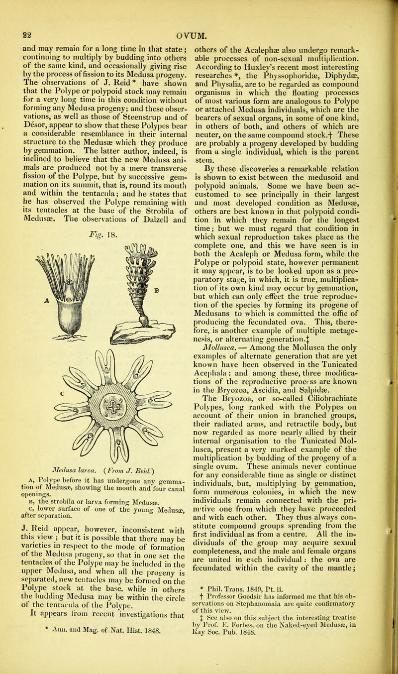 and may remain for a long time in that state; continuing to multiply by budding into others of the same kind, and occasionally giving rise by the process of fission to its Medusa progeny. The observations of J. Reid * have shown that the Polype or polypoid stock may remain for a very long time in this condition without forming any Medusa progeny; and these obser- vations, as well as those of Steenstrup and of Desor, appear to show that these Polypes bear a considerable resemblance in their internal structure to the Medusa? which they produce by gemmation. The latter author, indeed, is inclined to believe that the new Medusa ani- mals are produced not by a mere transverse fission of the Polype, but by successive gem- mation on its summit, that is, round its mouth and within the tentacula; and he states that he has observed the Polype remaining with its tentacles at the base of the Strobila of Medusae. The observations of Dalzell and j^ig. 18. Medusa larva. (^From J. Reid.') ^ A, Polype before it has undergone any gemma- tion of Medusae, showing the mouth and four canal openings. B, the strobila or larva forming Medusae, c, lower surface of one of the young Medusae, after separation. J. Reid appear, however, inconsistent with this view ; but it is possible that there may be vai ieties in respect to tlie mode of formation of the Medusa progeny, so that in one set the tentacles of the Polype may be included in the upper Medusa, and when all the progeny is separated, new tentacles may be formed on the P0I3 P® stock at the base, while in others the budding Medusa may be within the circle of the tentacula of the Polype. It appears from recent 'investigations that * Ann. and Mag. of Xat. Hist. 1848. others of the Acalephae also undergo remark- able processes of non-sexual multiplication. According to Huxley’s recent most interesting researches *, the Physsophorida?, Diphydae, and Physalia, are to be regarded as compound organisms in which the floating processes of most various form are analogous to Polype or attached Medusa individuals, which are the bearers of sexual organs, in some of one kind, in others of both, and others of which are neuter, on the same compound stock.f These are probably a progeny developed by budding from a single individual, which is the parent stem. By these discoveries a remarkable relation is shown to exist between the medusoid and polypoid animals. Some we have been ac- customed to see principally in their largest and most developed condition as Medusae, others are best known in that polypoid condi- tion in which they remain for the longest time; but we must regard that condition in which sexual reproduction takes place as the complete one, and this we have seen is in both the Acaleph or Medusa form, while the Polype or polypoid state, however permanent it may appear, is to be looked upon as a pre- paratory stage, in which, it is true, multiplica- tion of its own kind may occur by gemmation, but which can only effect the true reproduc- tion of the species by forming its progene of Medusans to which is committed the offic of producing the fecundated ova. This, there- fore, is another example of multiple metage- nesis, or alternating generation.! Mollusca. — Among the Mollusca the only examples of alternate generation that are yet known have been observed in the Tunicated Acephala: and among these, three modifica- tions of the reproductive proct ss are known in the Bryozoa, Ascidia, and Salpidae. The Bryozoa, or so-called Ciliobrachiate Polypes, long ranked with the Polypes on account of their union in branched groups, their radiated arms, and retractile body, but now regarded as more nearly allied by their internal organisation to the Tunicated Mol- lusca, present a very marked example of the multiplication by budding of the progeny of a single ovum. These animals never continue for any considerable time as single or distinct individuals, but, multiplying by gemmation, form numerous colonies, in which the new individuals remain connected with the pri- m’tive one from which they have proceeded and with each other. They thus always con- stitute compound groups spreading from the first individual as from a centre. All the in- dividuals of the group may acquire sexual completeness, and the male and female organs are united in each individual: the ova are fecundated within the cavity of the mantle; * Phil. Trans. 1849, Pt. ii. f Professor Goodsir has informed me that his ob- servations on Stephanomaia are quite confirmatory of this view. J See also on this subject tlie interesting treatise by Prof. K. Forbes, on the Naked-eyed Medusas, in Kay Soc. Pub. 1848.