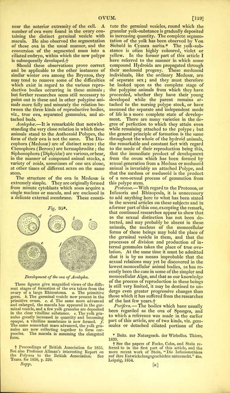 near the anterior extremity of the cell. A number of ova were found in the ovary con- taining the distinct germinal vesicle with macula. He also observed the segmentation of these ova in the usual manner, and the conversion of the segmented mass into a ciliated embryo, within which the new polype is subsequently developed.-]' Should these observations prove correct and be applicable to the other instances of similar winter ova among the Bryozoa, they may tend to remove some of the difficulties which exist in regard to the various repro- ductive bodies occurring in these animals ; but farther researches seem still necessary to point out in these and in other polypine ani- mals more fully and minutely the relation be- tween the three kinds of reproductive bodies, viz., true ova, separated gemmules, and at- tached buds. Acalephce.—It is remarkable that notwith- standing the very close relation in which these animals stand to the Anthozoid Polypes, the form of their ova is not the same. The Dis- cophora (Medusae) are of distinct sexes: the Ctenophora (Beroes) are hermaphrodite ; the Siphonophora (Diphyidae) are various, or bear, in the manner of compound animal stocks, a variety of zoids, sometimes of one sex alone, at other times of different sexes on the same stem. The structure of the ova in Medusae is extremely simple. They are originally formed from minute cytoblasts which soon acquire a single nucleus or macula, and are enclosed in a delicate external membrane. These consti- Fig. 95*. Development of the ova of Acalepha. These figures give magnified views of the diffe- rent stages of formation of the ova taken from the ovary of a large Rhizostoma. a. The primitive germ. 6. The germinal vesicle now present in the primitive ovum. c. d. The same more advanced and enlarged, the macula has appeared in the ger- minal vesicle, and a few yolk granules are deposited in the clear vitelline substance, e. The yolk gra- nules greatly increased in quantity and becoming opaque, a vitelline membrane is now formed, f The same somewhat more advanced, the yolk gra- nules are now collecting together to form cor- puscles. The macula is assuming the elongated form. t Proceedings of British Association for 1855. See also Professor Allman’s interesting Report on the Polyzoa to the British Association. See Trans, for 1850, p. 320. tute the germinal vesicles, round which the granular yolk-substance is gradually deposited in increasing quantity. The complete segmen- tation of the yolk has been observed by Von Siebold in Cyanea aurita.* The yolk-sub- stance is often highly coloured, violet or yellow. In the former part of this article I have referred to the manner in which some compound Hydroida are propagated through their medusoid progeny. These medusoid individuals, like the ordinary Medusae, are of separate sex; and they must therefore be looked upon as the complete stage of the polypine animals from which they have proceeded, whether they have their }'Oung developed while the parent remains at- tached to the nursing polype stock, or have assumed the separate and independent mode of life in a more complete state of develop- ment. There are many varieties in the de- gree of perfection to which they attain even while remaining attached to the polype; but the general principle of formation is the same throughout the whole of the hydroid animals, the remarkable and constant fact with regard to the mode of their reproduction being this, that the immediate product of development from the ovum which has been formed by sexual generation from a Medusa or medusoid animal is invariably an attached Polype, and that the medusa or medusoid is the product of a non-sexual process of gemmation from this polype stem. Protozoa.—With regard to the Protozoa, or Infusoria and Bhizopoda, it is unnecessary to add anything here to what has been stated in the several articles on these subjects and in a former part of this one, excepting the remark, that continued researches appear to show that as the sexual distinction has not been de- tected, and may probably be absent in these animals, the nucleus of the monocellular forms of these beings may hold the place of the germinal vesicle in them, and that the processes of division and production of in- ternal gemmules takes the place of true ovu- lation. At the same time it must be admitted that it is by no means improbable that the sexual relations may yet be discovered in the lowest monocellular animal bodies, as has re- cently been the case in some of the simpler and monocellular Algas, and that as our knowledge of the process of reproduction in these beings is still very limited, it may be destined to un- dergo even greater progressive changes than those which it has suffered from the researches of the last few years.-]' Porifera, — The bodies which have usually been regarded as the ova of Sponges, and to which a reference was made in the earlier part of this article, are of two kinds, viz. gem- mules or detached ciliated portions of the * Beitr. zur Naturgesch. der Wirbellos. Thiere, 1839. t See the papers of Focke, Cohn, and Stein re- ferred to in the first part of this article, and the more recent work of Stein, “ Die Infusionsthiere auf ihre Entwickelungsgeschichte untersucht.” 4to. Leipzig, 1854.