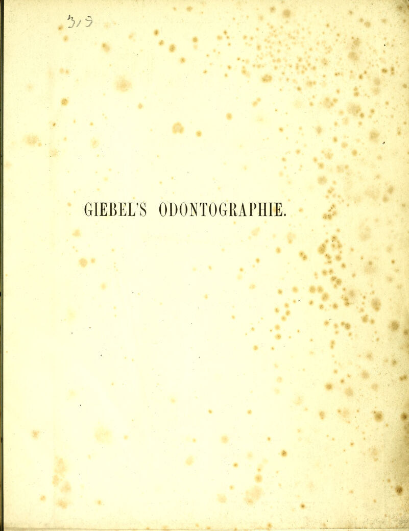 GIEBELS ODONTOGRAPHIE.