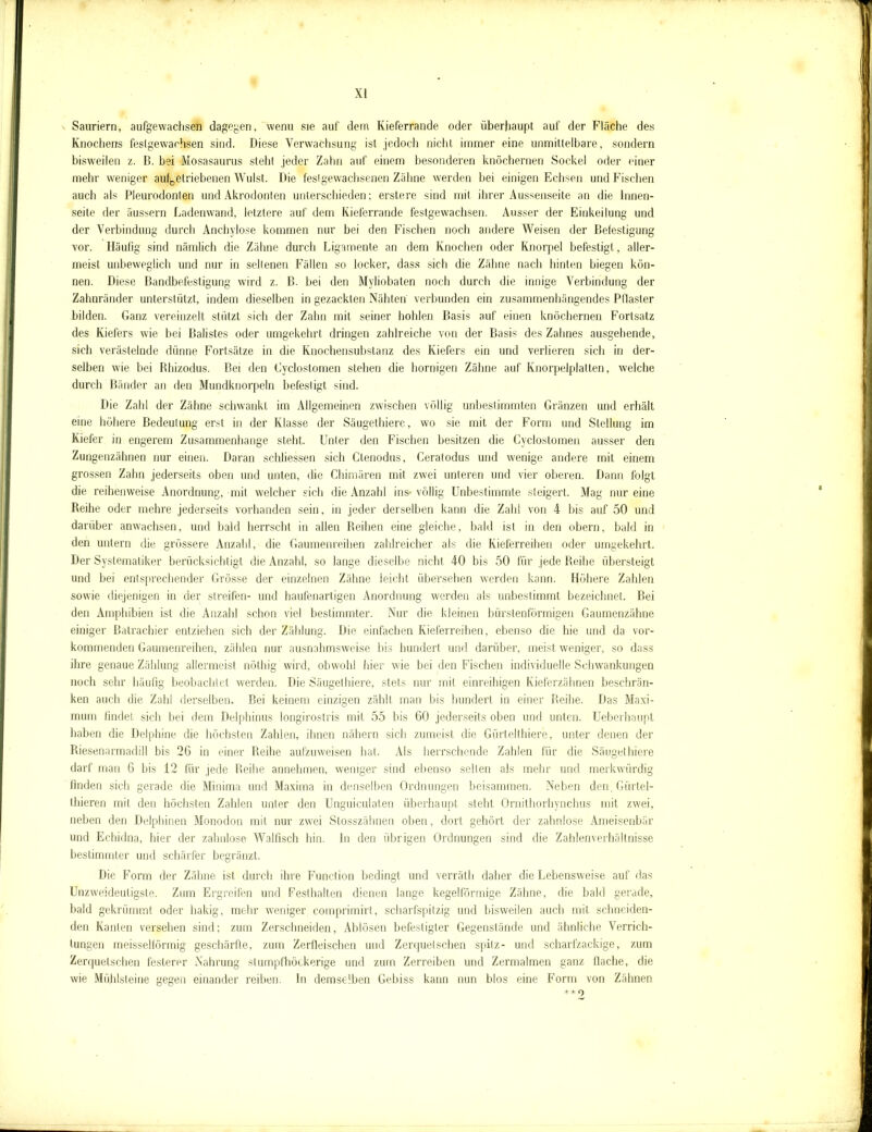 Sauriern, aufgewachsen dagegen, wenu sie auf dem Kieferrande oder überhaupt auf der Fläche des Knochens festgewachsen sind. Diese Verwachsung ist jedoch nicht immer eine unmittelbare, sondern bisweilen z. B. bei Mosasaurus steht jeder Zahn auf einem besonderen knöchernen Sockel oder einer mehr weniger aufgetriebenen Wulst. Die fest gewachsenen Zähne werden bei einigen Echsen und Fischen auch als PJeurodonten und Akrodonten unterschieden; erstere sind mit ihrer Aussenseite an die Innen- seite der äussern Ladenwand, letztere auf dem Kieferrande festgewachsen. Ausser der Einkeilung und der Verbindung durch Anchylose kommen nur bei den Fischen noch andere Weisen der Befestigung vor. Häufig sind nämlich die Zähne durch Ligamente an dem Knochen oder Knorpel befestigt, aller- meist unbeweglich und nur in seltenen Fällen so locker, dass sich die Zähne nach hinten biegen kön- nen. Diese Bandbefestigung wird z. B. bei den Myliobaten noch durch die innige Verbindung der Zahnränder unterstützt, indem dieselben in gezackten Nähten verbunden ein zusammenhängendes Pflaster bilden. Ganz vereinzelt stützt sich der Zahn mit seiner hohlen Basis auf einen knöchernen Fortsatz des Kiefers wie bei Balistes oder umgekehrt dringen zahlreiche von der Basis des Zahnes ausgehende, sich verästelnde dünne Fortsätze in die Knochensubstanz des Kiefers ein und verlieren sich in der- selben wie bei Bhizodus. Bei den Cyclostomen stehen die hornigen Zähne auf Knorpelplatten, welche durch Bänder an den Mundknorpeln befestigt sind. Die Zahl der Zähne schwankt im Allgemeinen zwischen völlig unbestimmten Gränzen und erhält eine höhere Bedeutung erst in der Klasse der Säugethiere, wo sie mit der Form und Stellung im Kiefer in engerem Zusammenhänge steht. Unter den Fischen besitzen die Cyclostomen ausser den Zungenzähnen nur einen. Daran schliessen sich Clenodus, Ceratodus und wenige andere mit einem grossen Zahn jederseits oben und unten, die Chimären mit zwei unteren und vier oberen. Dann folgt die reihenweise Anordnung, mit welcher sich die Anzahl ins- völlig Unbestimmte steigert. Mag nur eine Reihe oder mehre jederseits vorhanden sein, in jeder derselben kann die Zahl von 4 bis auf 50 und darüber anwachsen, und bald herrscht in allen Reihen eine gleiche, bald ist in den obern, bald in den untern die grössere Anzahl, die Gaumenreihen zahlreicher als die Kieferreihen oder umgekehrt. Der Systematiker berücksichtigt die Anzahl, so lange dieselbe nicht 40 bis 50 für jede Reihe übersteigt und bei entsprechender Grösse der einzelnen Zähne leicht übersehen werden kann. Höhere Zahlen sowie diejenigen in der streifen- und haufenartigen Anordnung werden als unbestimmt bezeichnet. Bei den Amphibien ist die Anzahl schon viel bestimmter. Nur die kleinen bürstenförmigen Gaumenzähne einiger Batracbier entziehen sich der Zählung. Die einfachen Kieferreihen, ebenso die hie und da vor- kommenden Gaumenreihen, zählen nur ausnahmsweise bis hundert und darüber, meist weniger, so dass ihre genaue Zählung allermeist nöthig wird, obwohl hier wie bei den Fischen individuelle Schwankungen noch sehr häufig beobachtet werden. Die Säugethiere, stets nur mit einreihigen Kieferzähnen beschrän- ken auch die Zahl derselben. Bei keinem einzigen zählt man bis hundert in einer Reihe. Das Maxi- mum findet sich bei dem Delphinus longirostris mit 55 bis 60 jederseits oben und unten. Ueberhaupt haben die Delphine die höchsten Zahlen, ihnen nähern sich zumeist die Gürtelthiere, unter denen der Riesenarmadill bis 26 in einer Reihe aufzuweisen hat. Als herrschende Zahlen für die Säugethiere darf man 6 bis 12 für jede Reihe annehmen, weniger sind ebenso seilen als mehr und merkwürdig finden sich gerade die Minima und Maxima in denselben Ordnungen beisammen. Neben den, Gürtel- thieren mit den höchsten Zahlen unter den Unguiculaten überhaupt steht Ornithorhynchus mit zwei, neben den Delphinen Monodon mit nur zwei Stosszähnen oben, dort gehört der zahnlose Ameisenbär und Echidna, hier der zahnlose Walfisch hin. ln den übrigen Ordnungen sind die Zahlenverhältnisse bestimmter und schärfer begränzt. Die Form der Zähne ist durch ihre Function bedingt und verräth daher die Lebensweise auf das Unzweideutigste. Zum Ergreifen und Festhalten dienen lange kegelförmige Zähne, die bald gei’ade, bald gekrümmt oder hakig, mehr weniger comprimirt, scharfspitzig und bisweilen auch mit schneiden- den Kanten versehen sind; zum Zerschneiden, Ablösen befestigter Gegenstände und ähnliche Verrich- tungen meisseiförmig geschärfte, zum Zerfleischen und Zerquetschen spitz- und scharfzackige, zum Zerquetschen festerer Nahrung stumpfhöckerige und zum Zerreiben und Zermalmen ganz flache, die wie Mühlsteine gegen einander reiben, ln demselben Gebiss kann nun blos eine Form von Zähnen